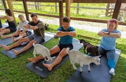 Goat Yoga &amp; Pub Lunch
