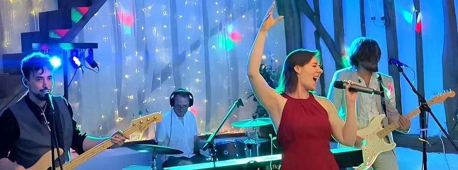 Grapevine Christmas Party