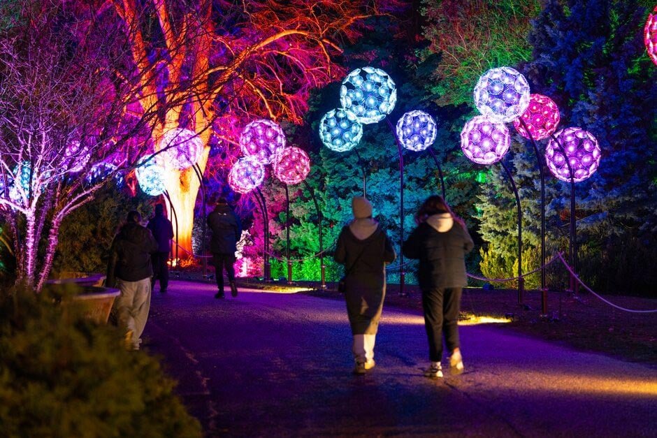 Hyde Hall Glow Festive Light Show