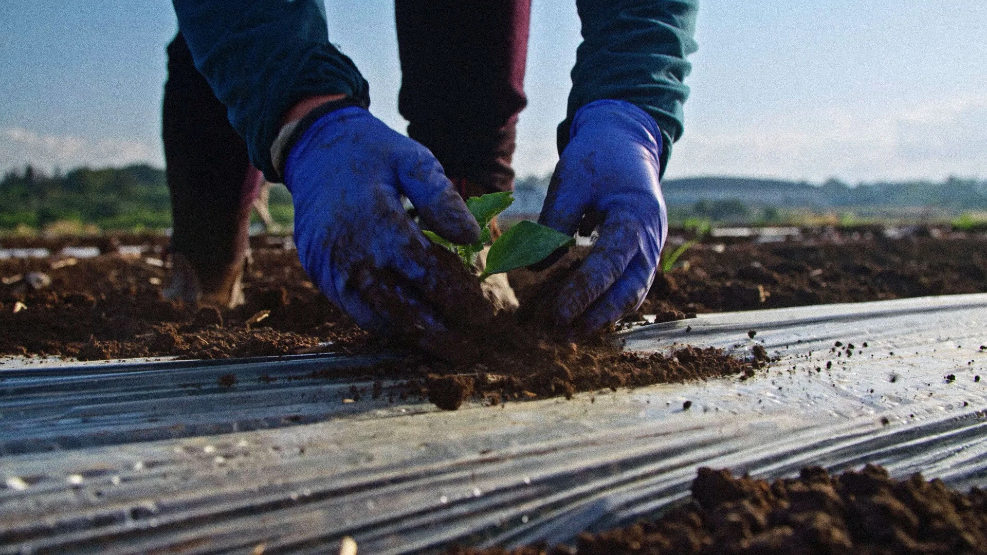 Orbia x Teaser Campanha