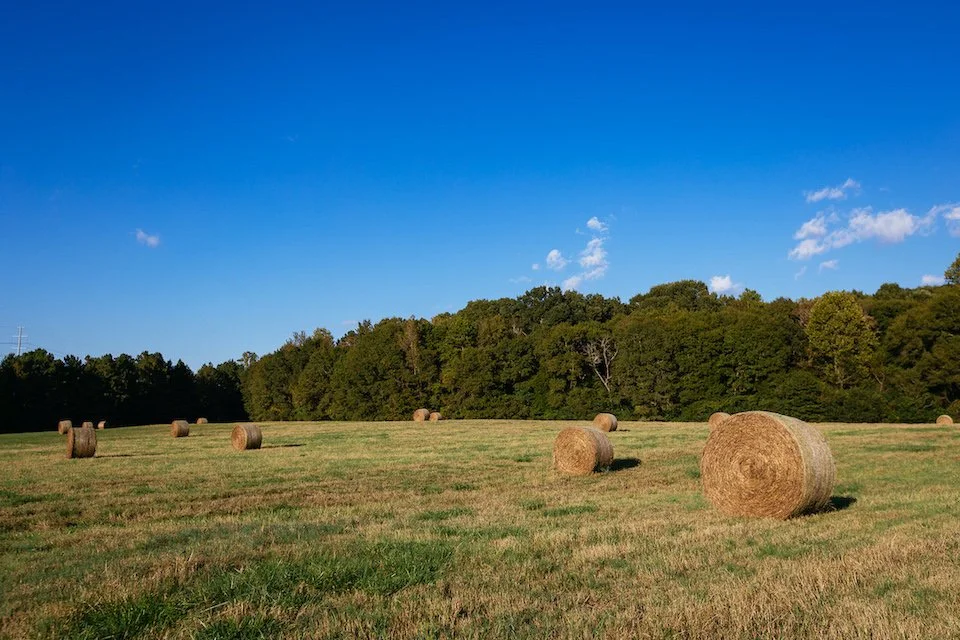 South Carolina — National Biosolids Data Project