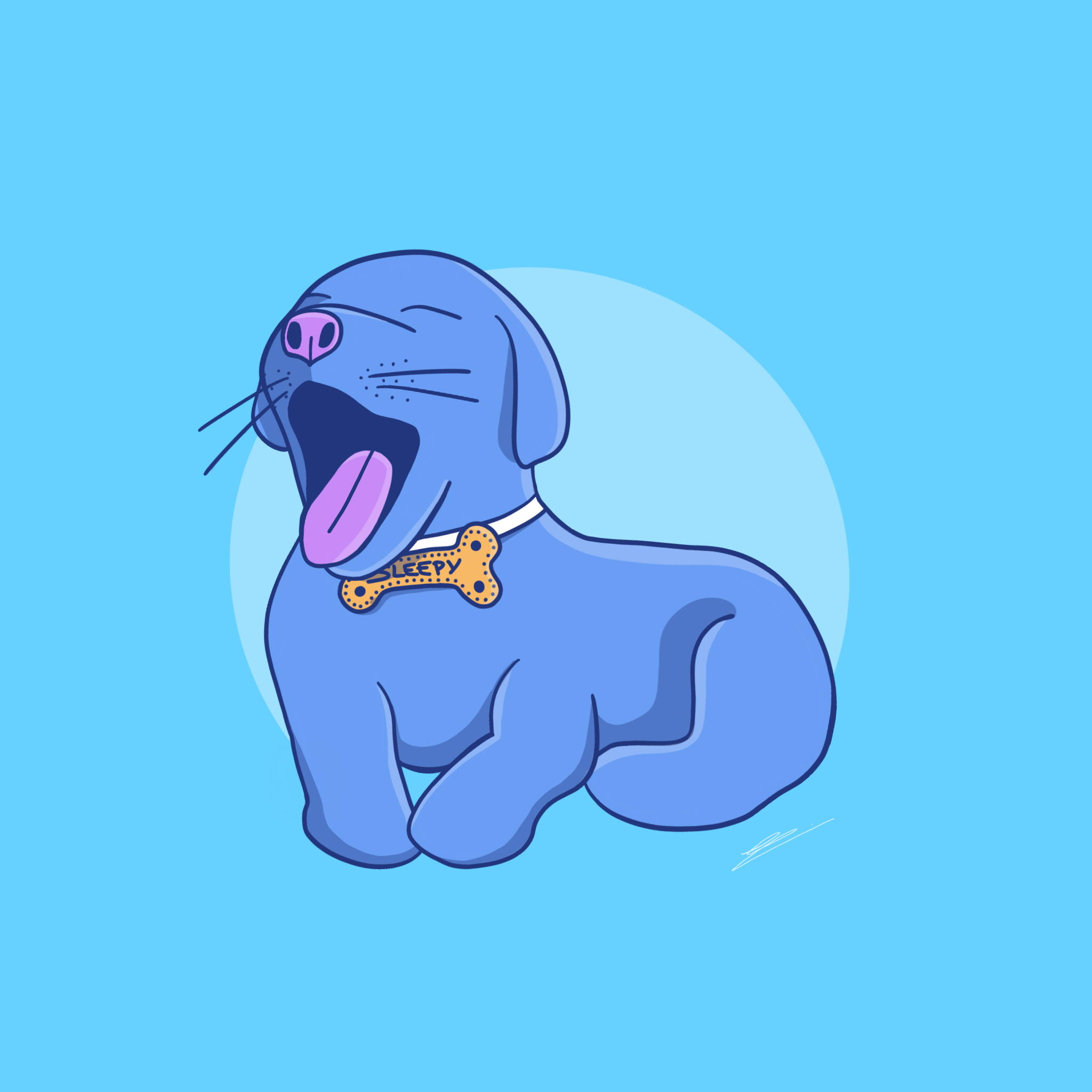 IMG_0229.PNG