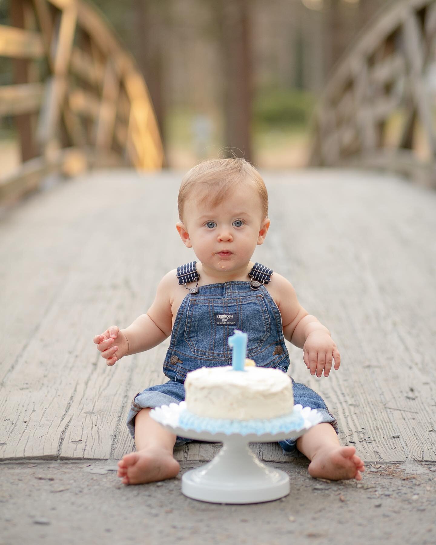 Liam was so gentle with his cake smash. It was the sweetest thing! 
&bull;
&bull;
&bull;
#lifestylephotography #cakesmashsession #photography #photooftheday #toddlerlife #instagood #photoshoot