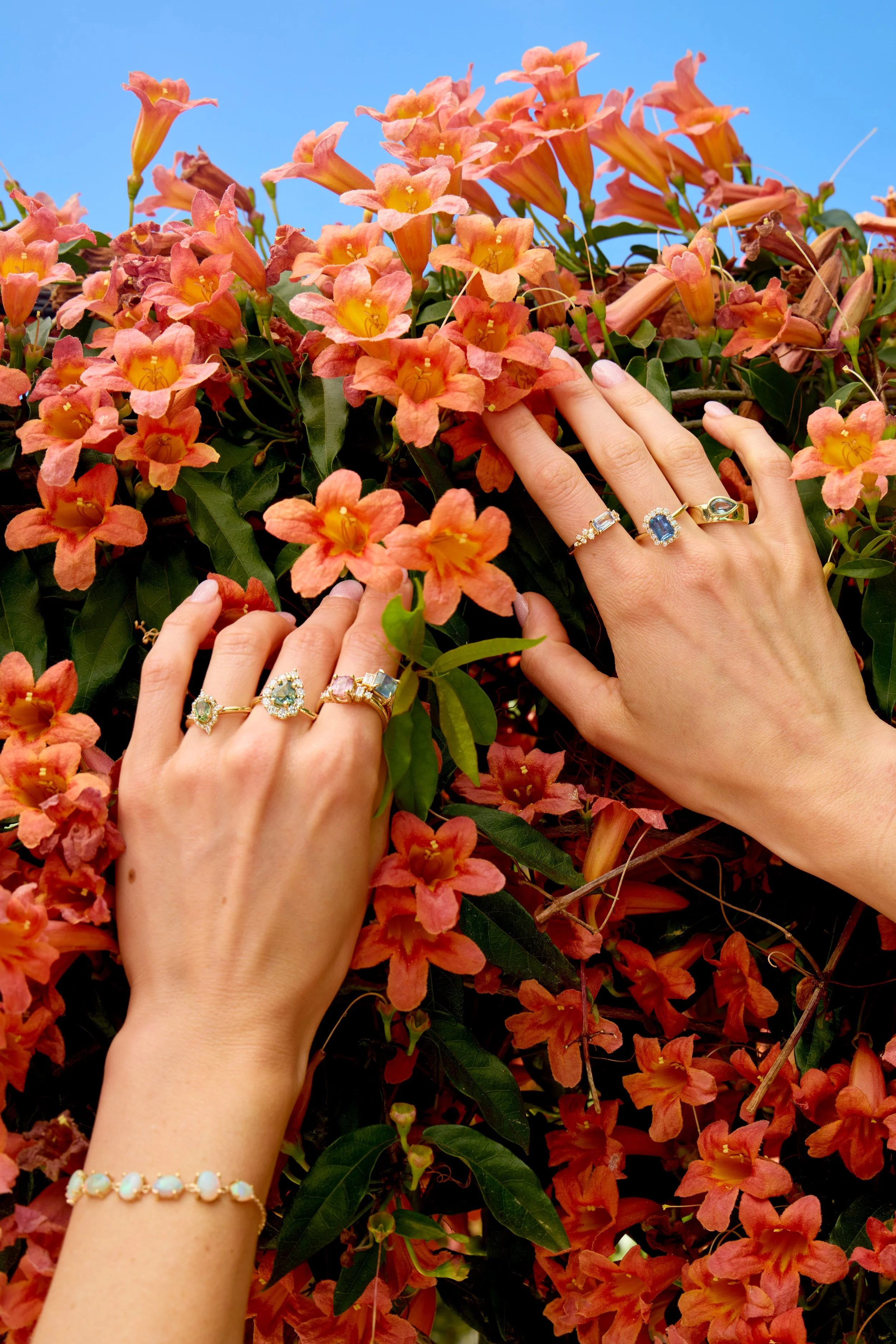 EWD Spring Campaigh0227.jpg