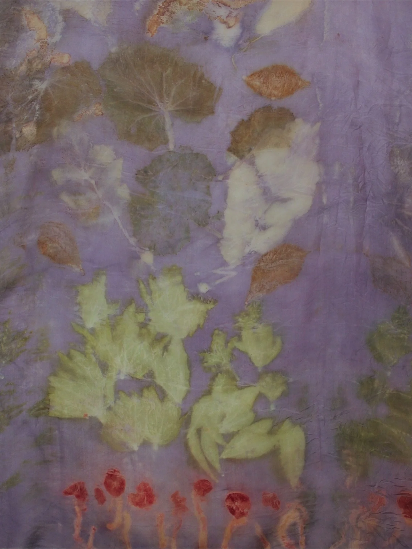 wool x textile 17/100

botanical print on silk✨ I did a lot of experimenting this summer. Here with some plants and mushrooms covered in a logwood blanket✨ more specifically bloodred webcaps, lupin leaves and lady&rsquo;s mantle🌿
I might turn this f