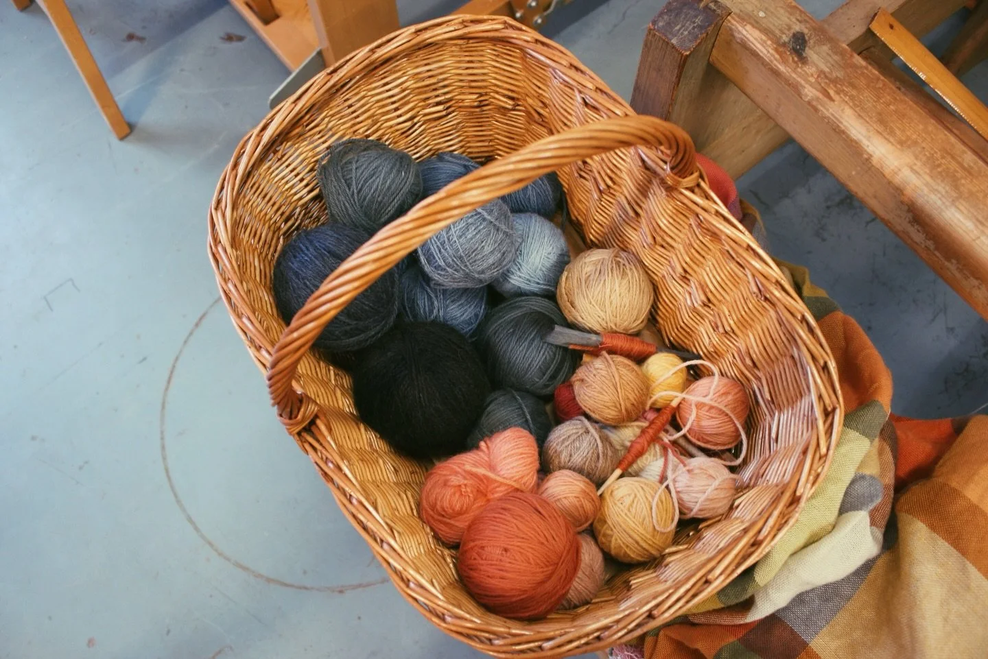 wool x textile 94/100

yarn palette for my current work✨ blue shades from indigo, the rest mostly from fungi❤️

#mushroomdye #mushroomdyeing #handdyedyarns #naturallydyed #naturallydyedyarn