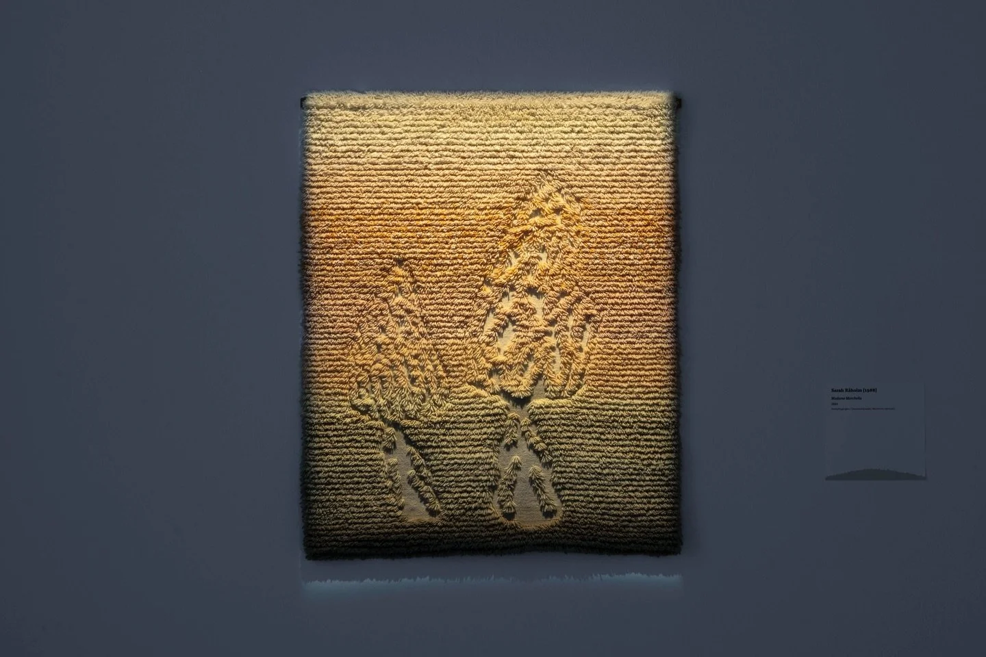 wool x textile 100/100

mushroomdyed yarn, handwoven in loom. 
my take on the traditional rya. madame morchella and mycelugend exhibited @chappe.fi for three more weeks, until 22.2.2026❤️

photos: @ahmed_alalousi 

#ryijy #ryijytaide #ryarug #kangasp