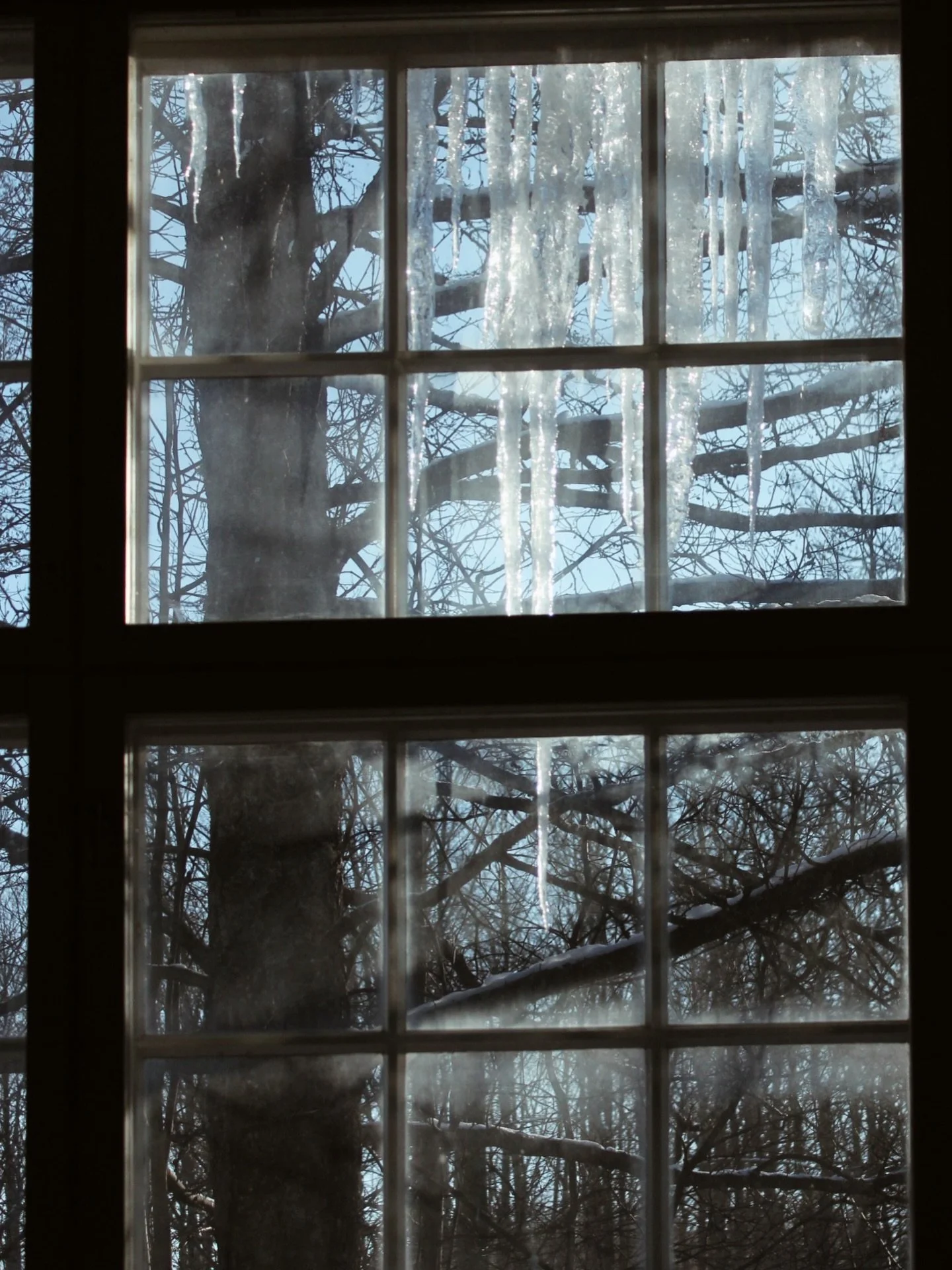 Istapparna &auml;r ett minne blott, svanarna &auml;r tillbaka i &aring;n.. v&aring;r i luften, sol, f&aring;gelkvitter och doften av bl&ouml;t jord.. vilken energi det ger✨✨✨