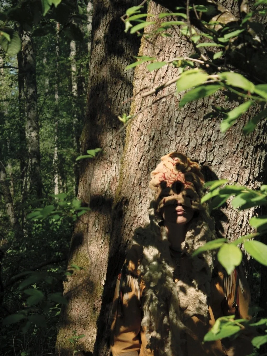 The Flyet alder swamp in Eken&auml;s is a protected nature area🌿💚✨

The black alder (Alnus glutinosa) is often associated with mystery due to its unique properties. When the tree is cut, the wood reacts with oxygen, shifting in color from light to 