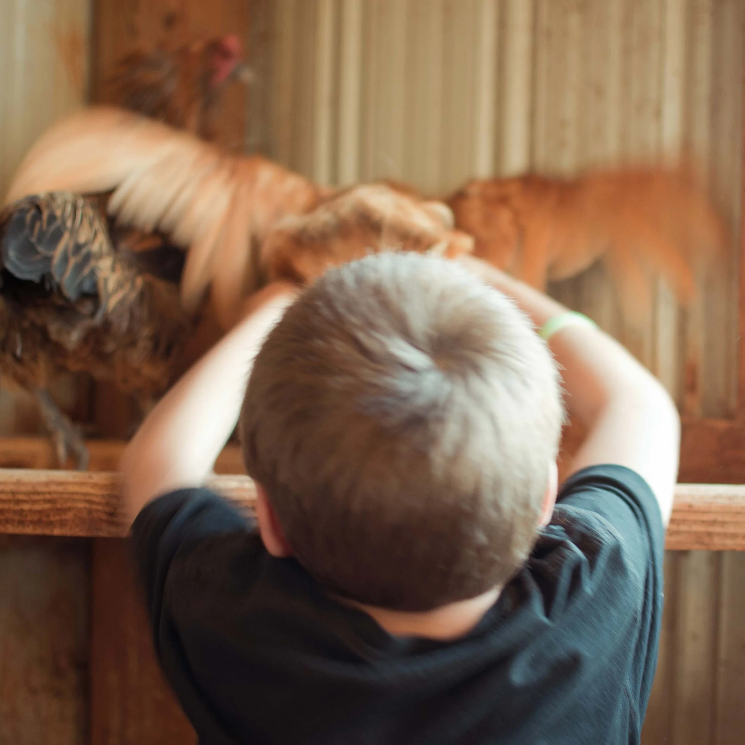 The Playground Project