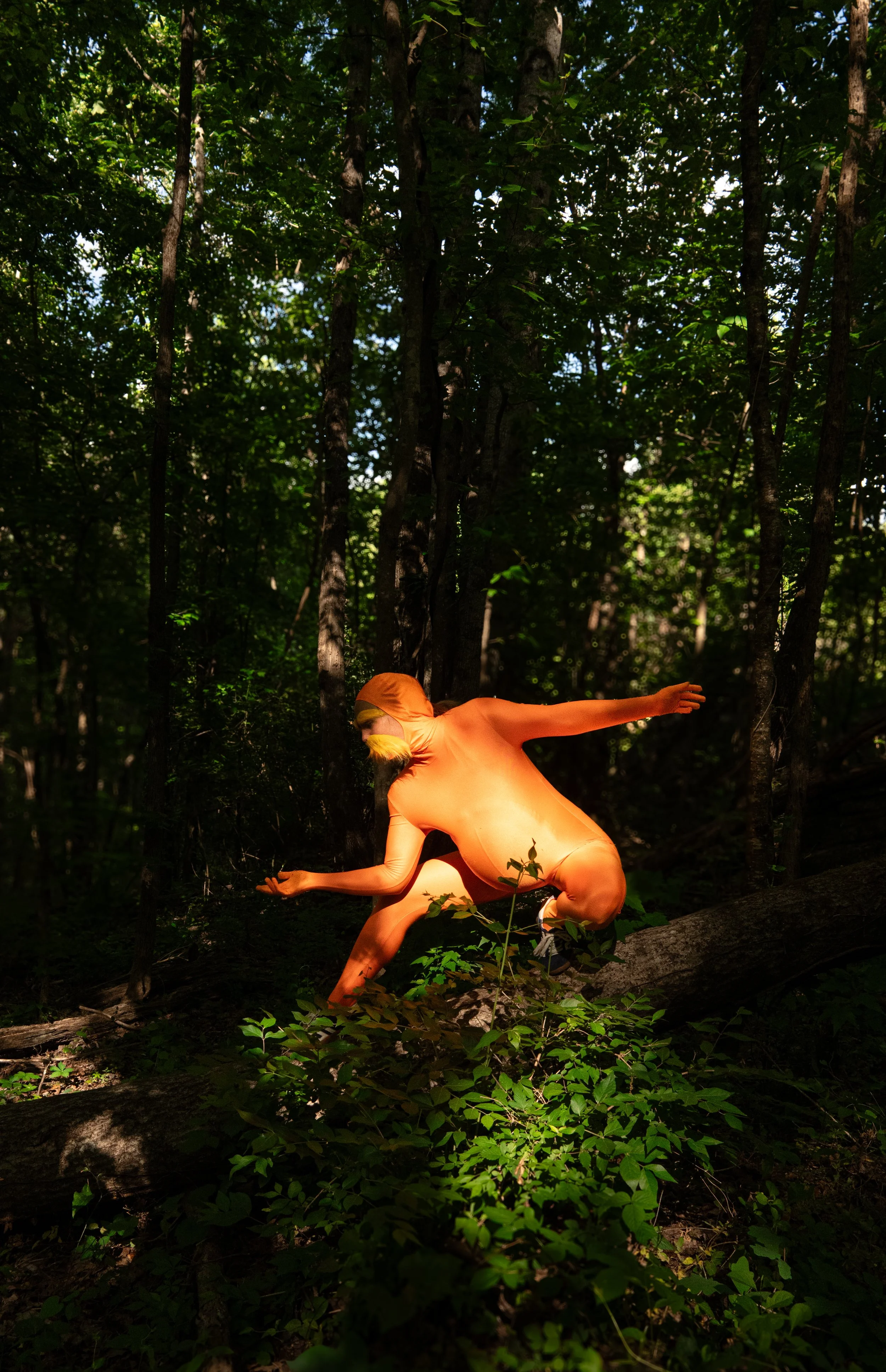 Reflections on Earth Day and The Lorax