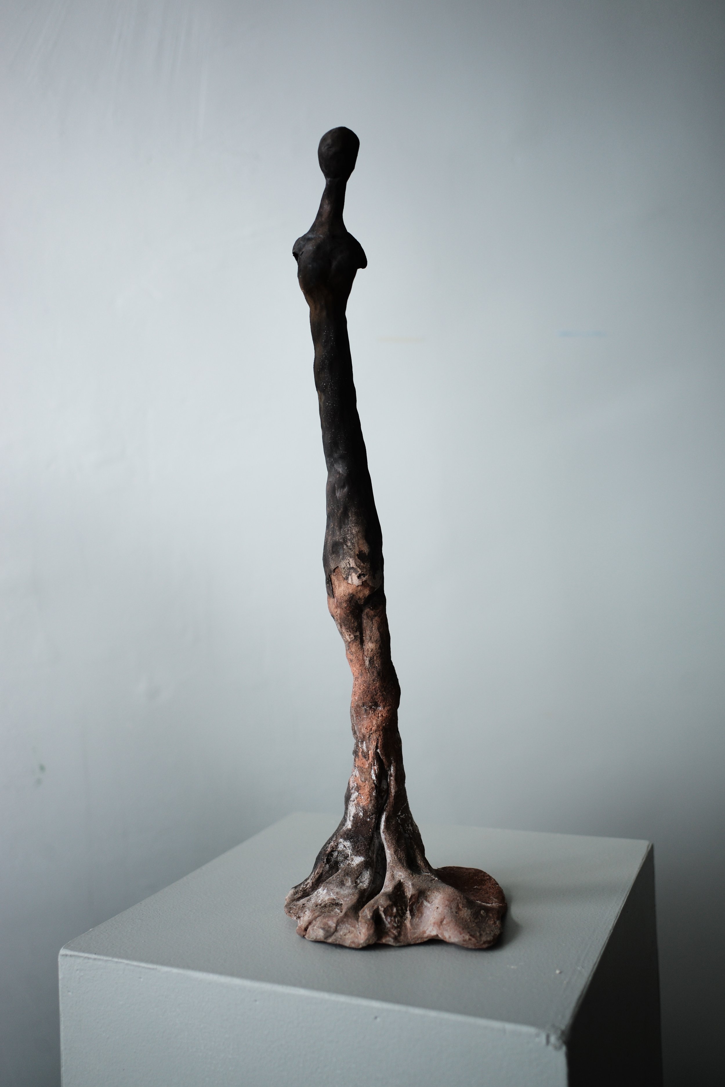l1003002 (1).jpg