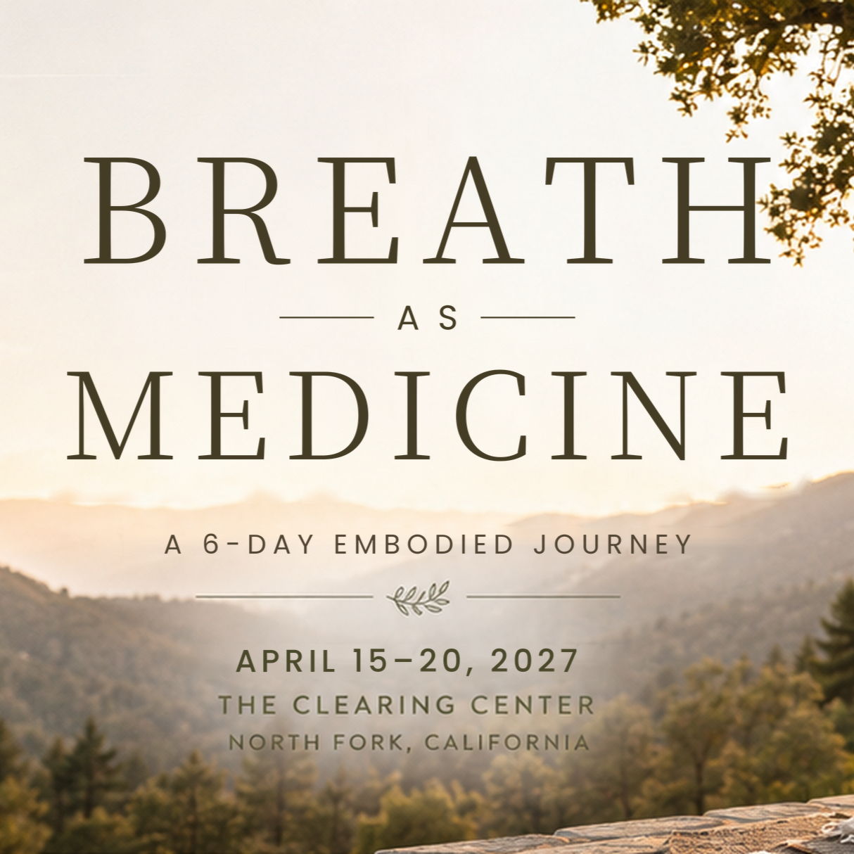 Breath As Medicine: An Embodied Journey