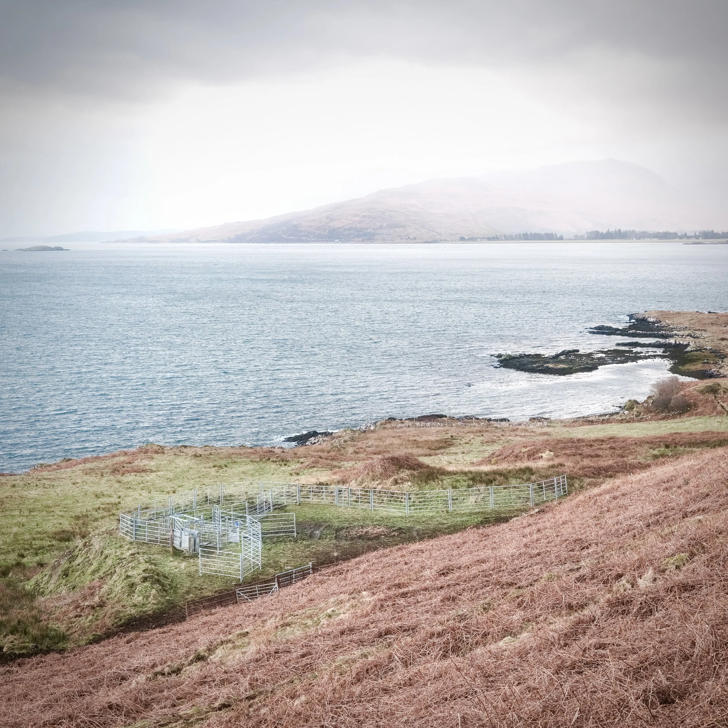 DSCF6393-2.jpg
