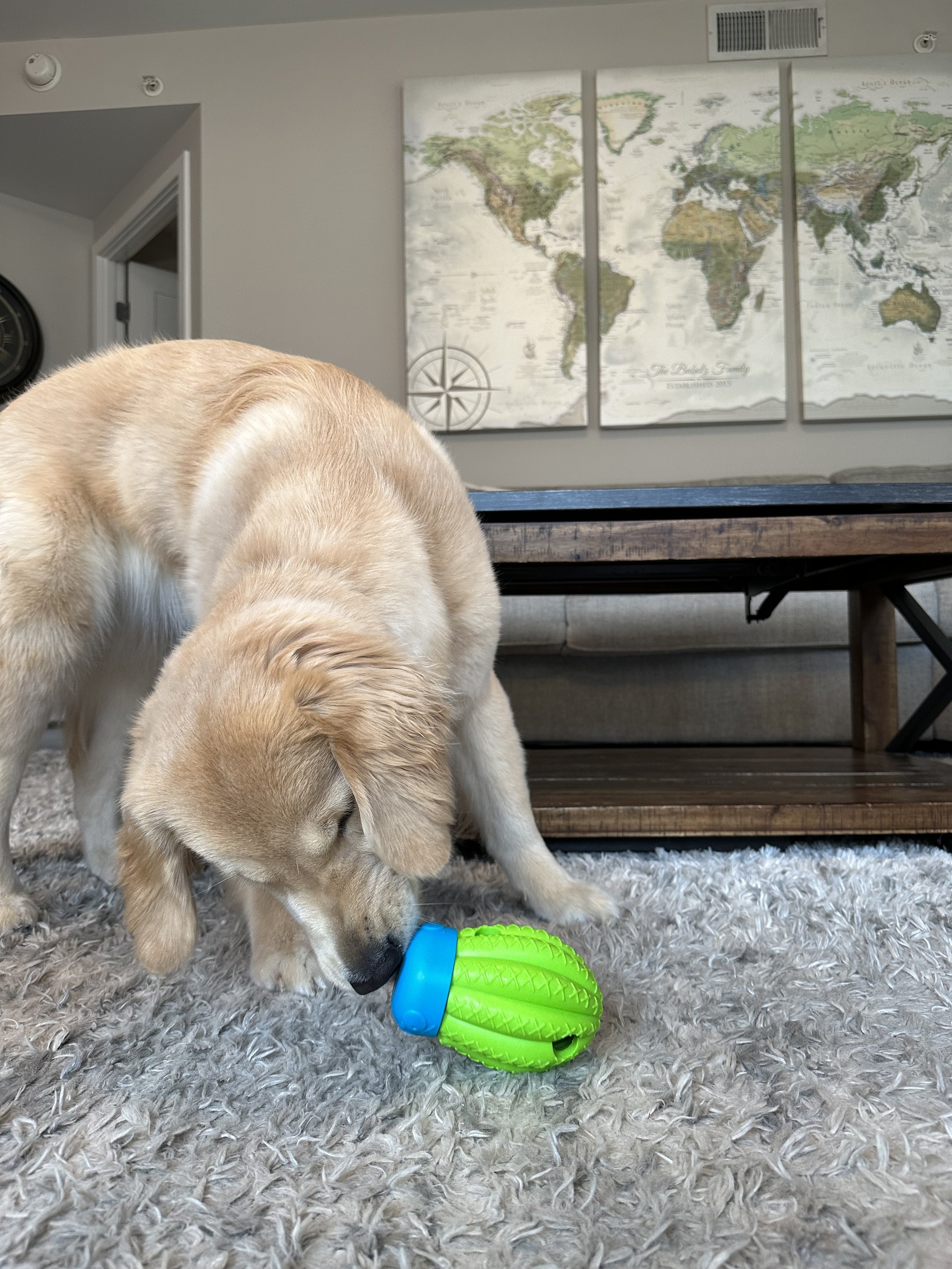 How Enrichment Toys Keep Your Dog Happy and Healthy — Golden Retriever Life