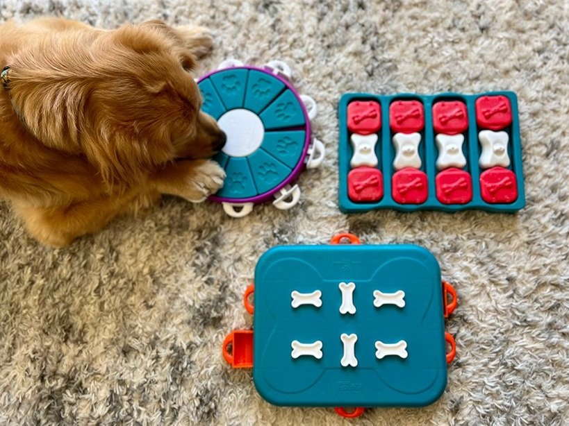 What are Dog Enrichment Toys? — Golden Retriever Life
