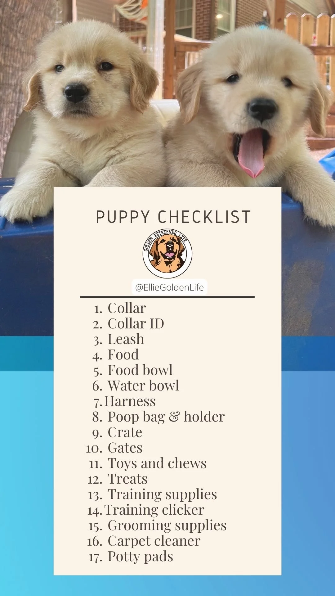 Puppy Shopping List Must Have Items For New Puppy What You Need