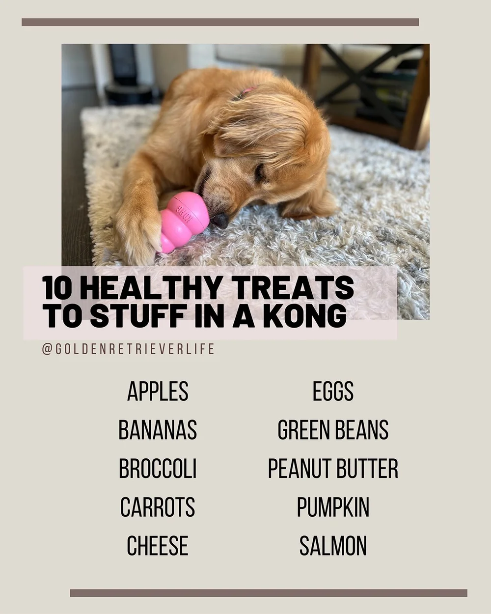Image showcasing How to Crate Train your Dog — Golden Retriever Life