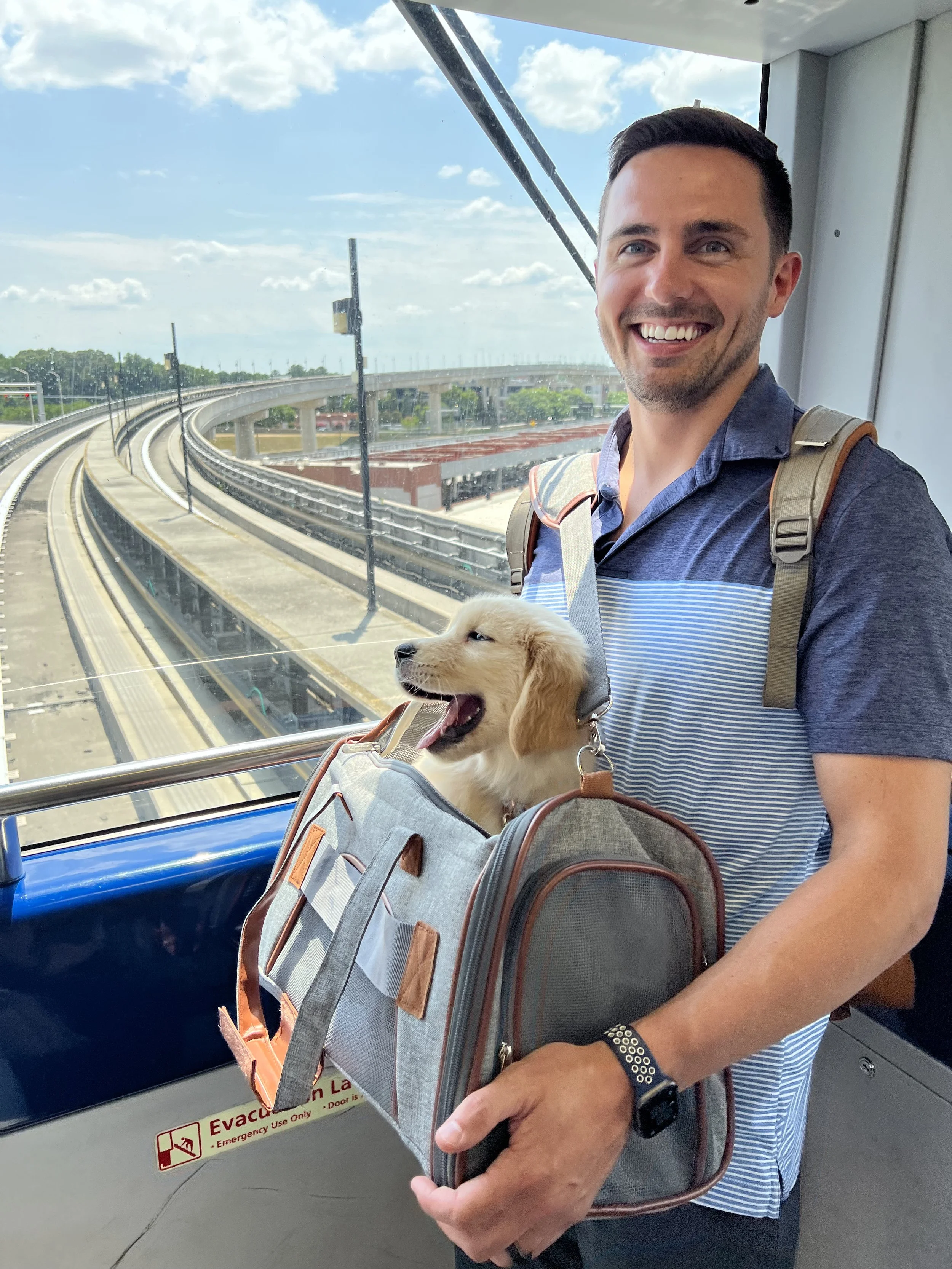 Shop fly with puppy on plane on Sale