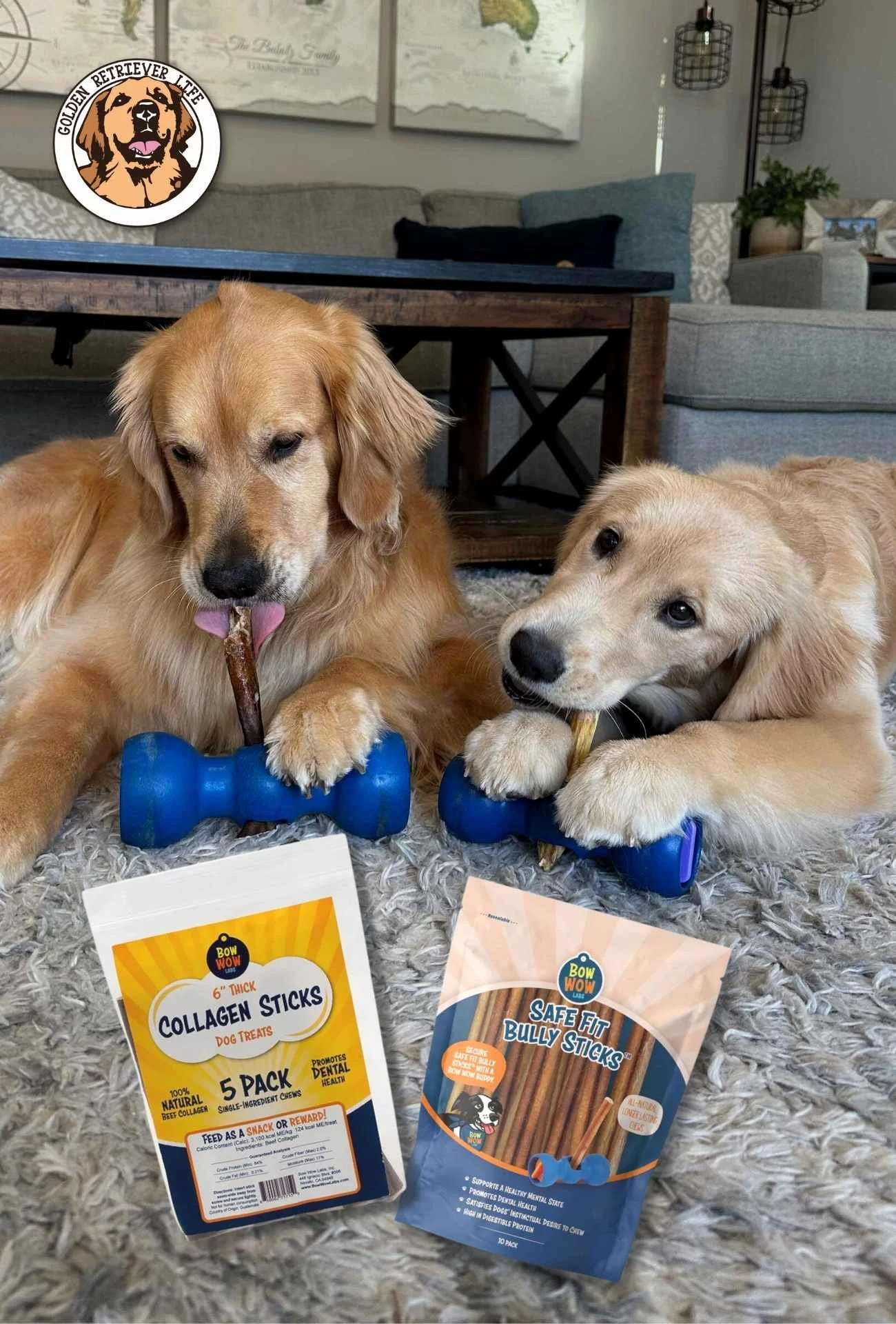 Golden Retriever Puppy Best Dry Kibble For Puppies Puppy Food Best