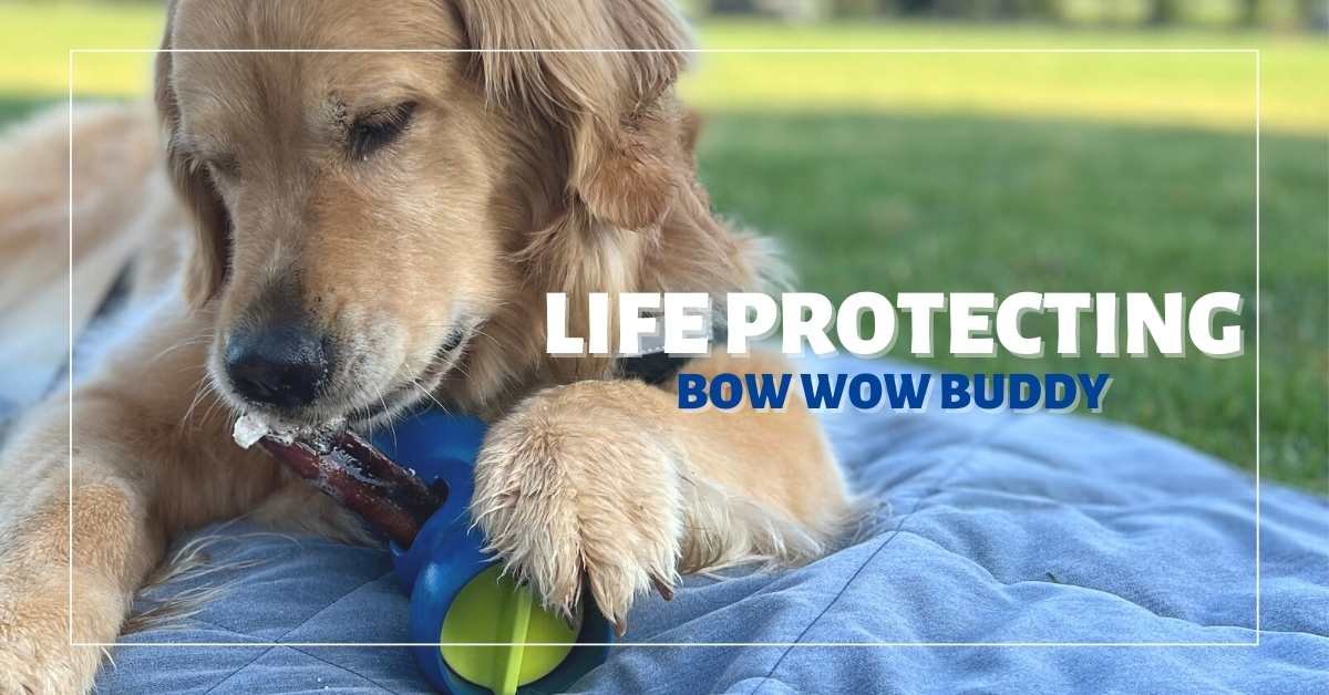 The Life Protecting Bow Wow Buddy