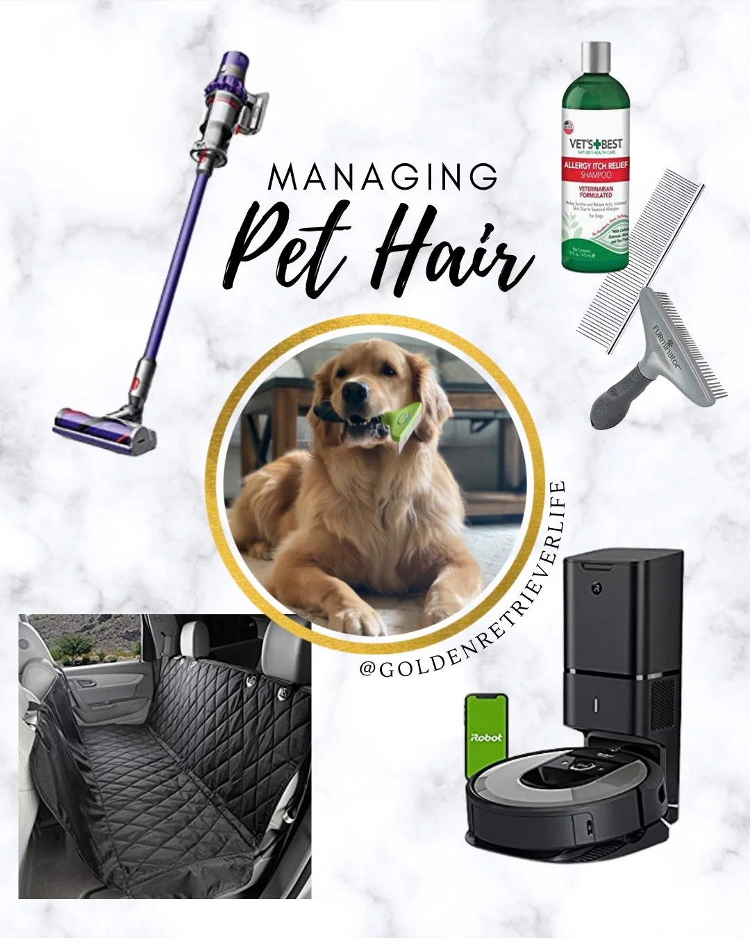 Everything Dog Hair, How to Manage Shedding — Golden Retriever Life