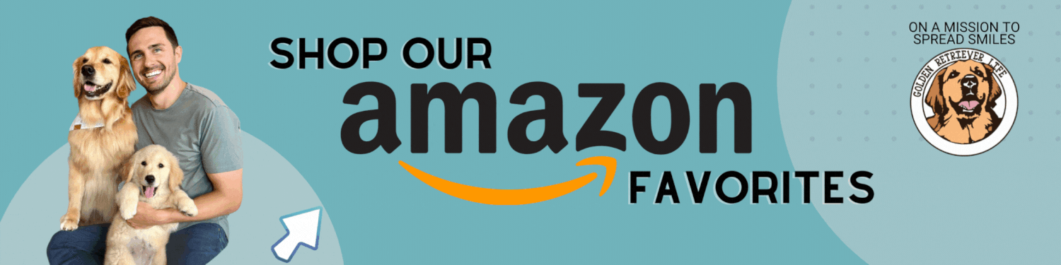 How to Trim Your Golden Retriever s Nails Safely and Effectively