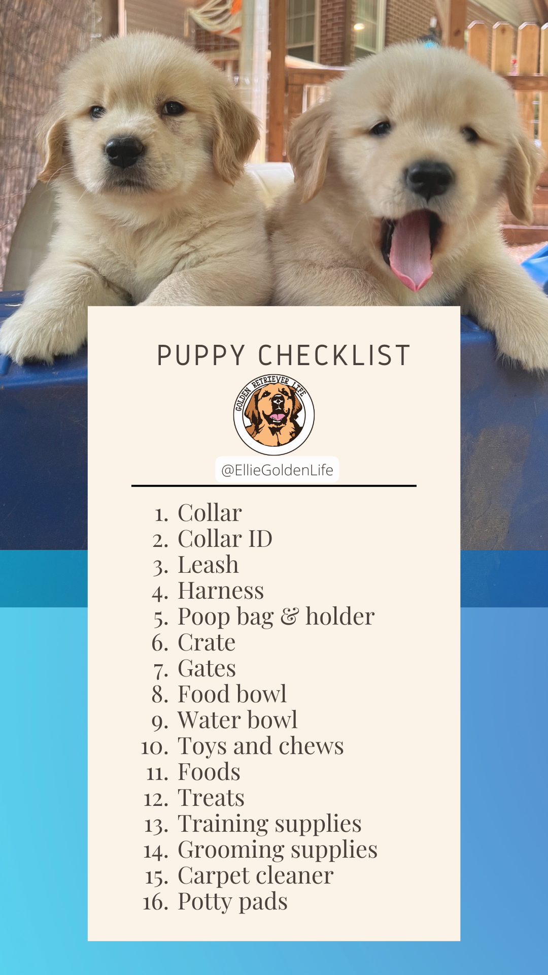 Puppy Checklist Cheap Dog Things A Puppy Needs Dog Supplies