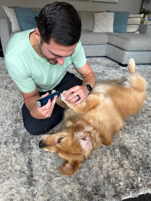 DIY Nail Trimming for Dogs A StepbyStep Guide with Positive