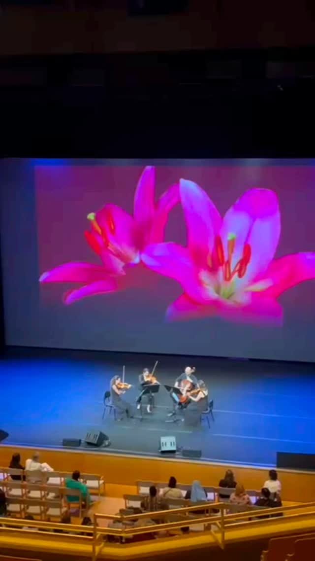 #tbt a snippet of our performance of Barber’s masterpiece @cankarjevdom 🌺#hearthsummitljubljana2025 @thewellbeingp