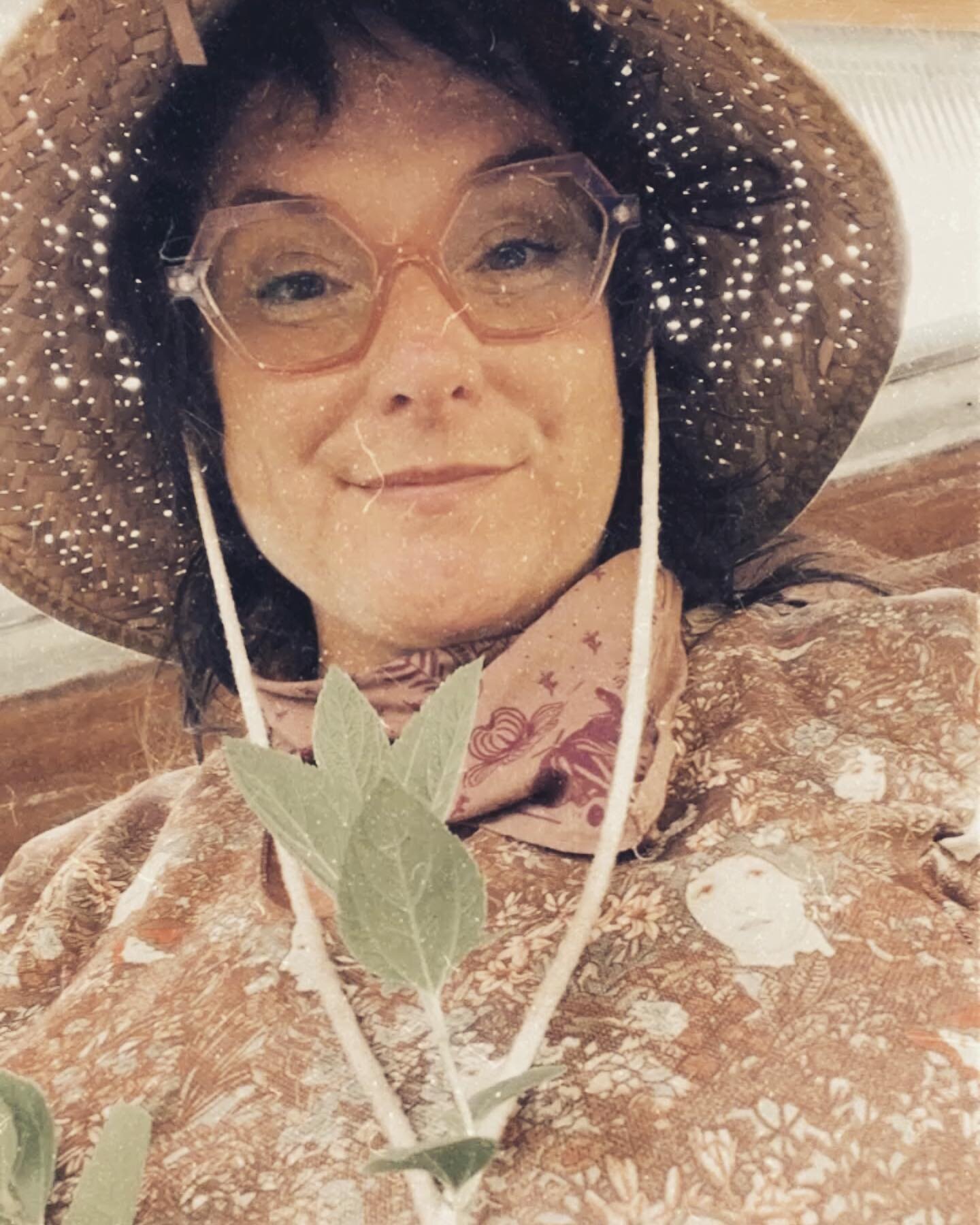 The human behind Woodswise Botanicals. I&rsquo;m holding a beautiful Red Root plant here, also known as New Jersey Tea, Mountain Snowball, Ceanothus and Mountain sweet to name a few.
A native growing plant whose habitat ranges from Central to Eastern
