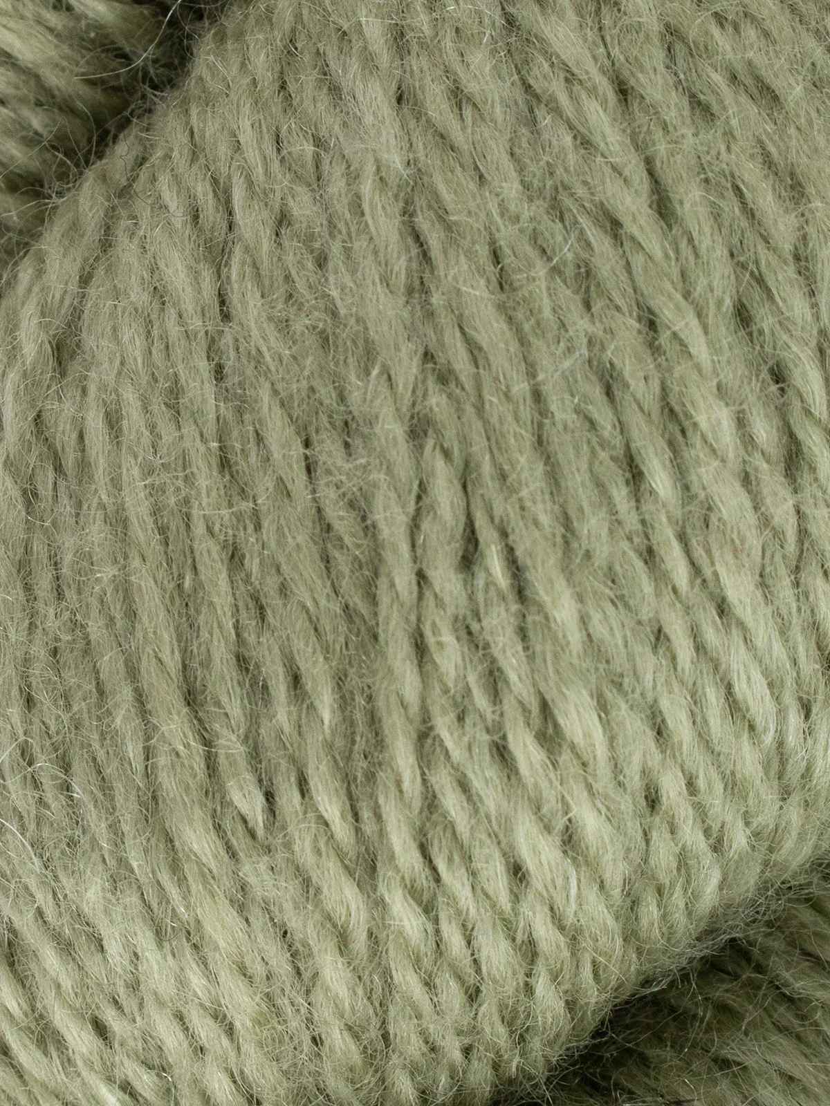 wys-solstice-4ply-y-vine-1250-dt-v-72.webp