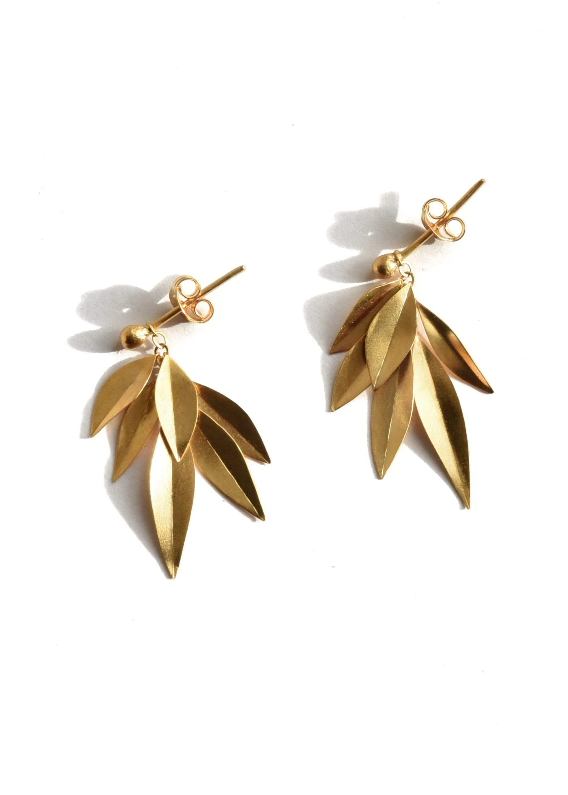 folded leaves cluster on pure white.jpg