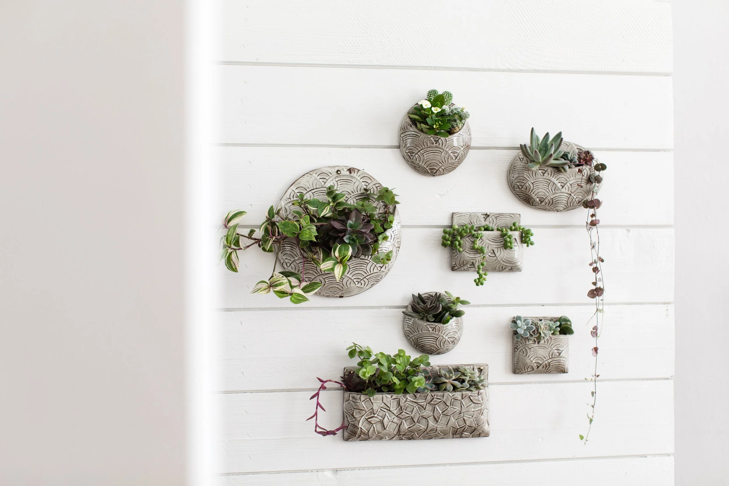 Succulent Wall Planters- Saturday January 31st