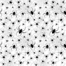 Spiders.jpeg