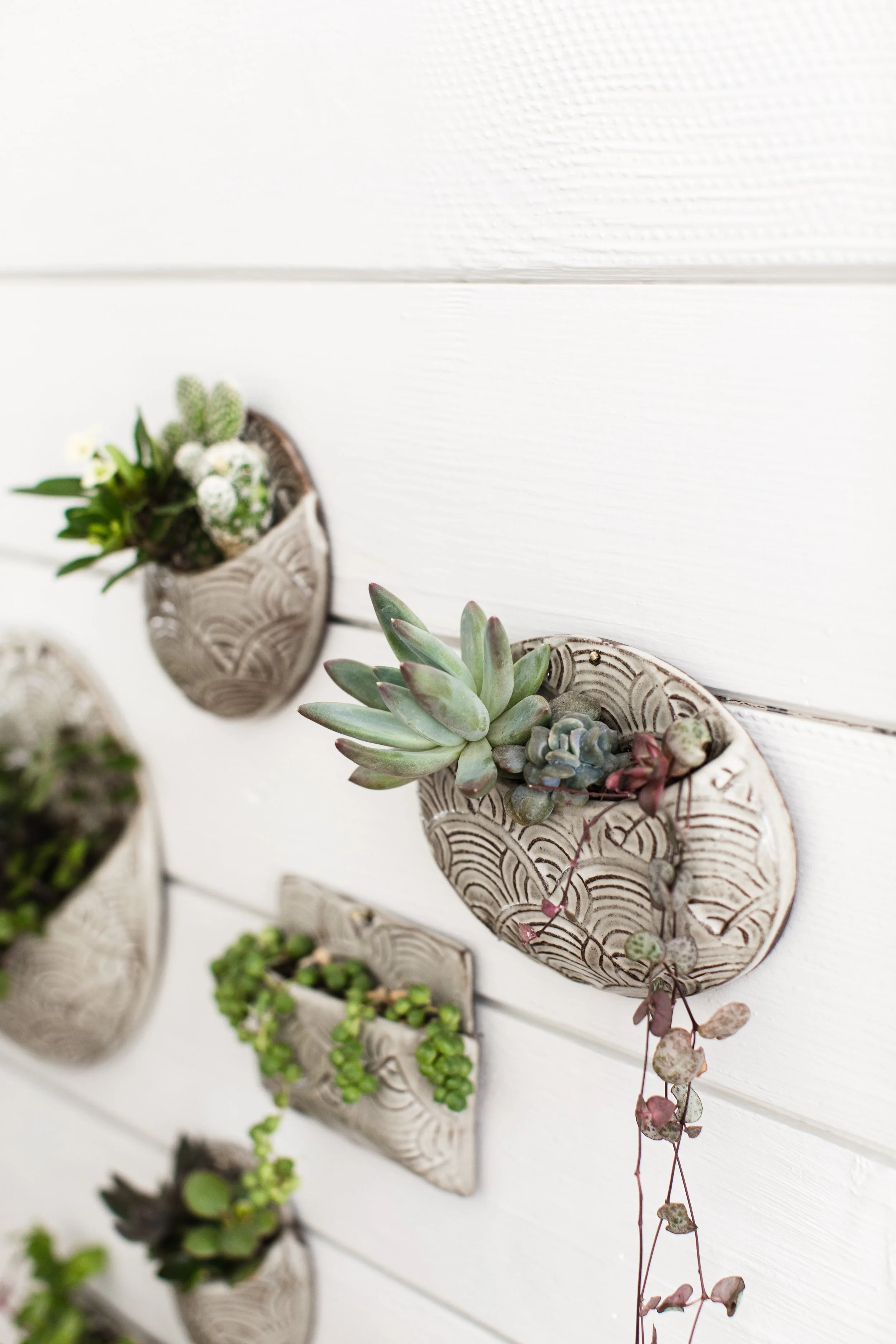 AmandaMaryCreative_BronwenWetterClay_005.jpg (Copy)