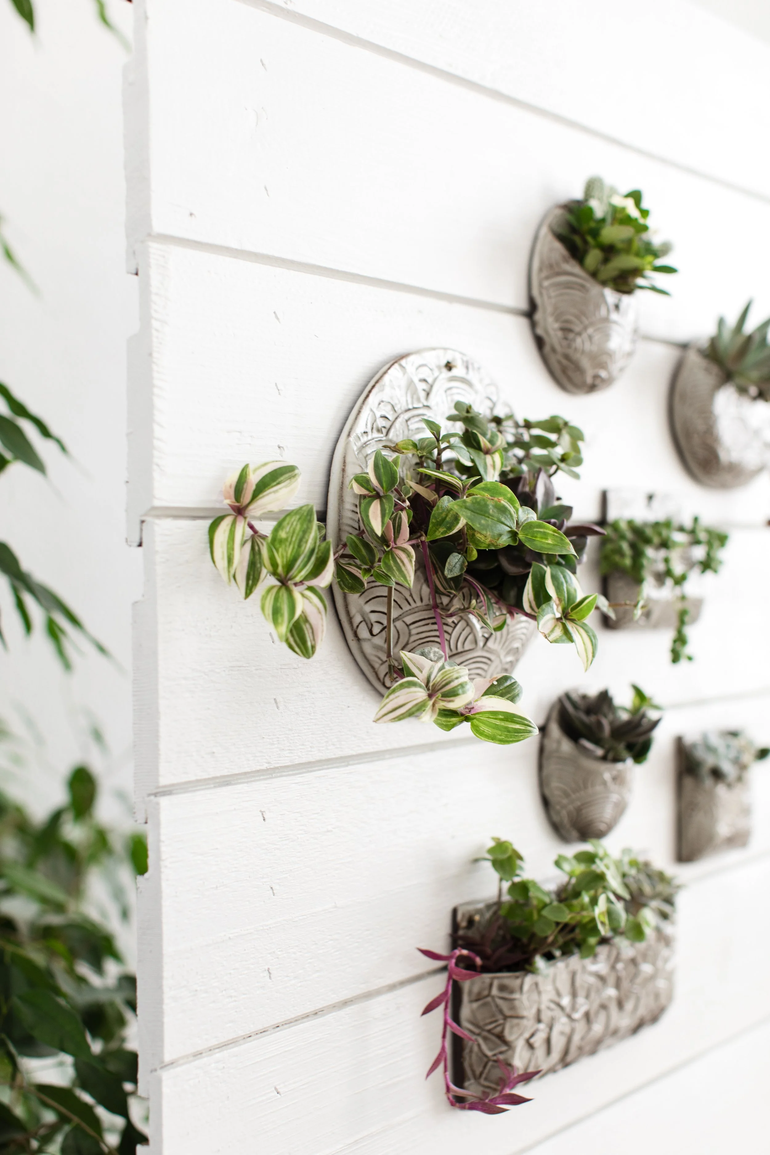 AmandaMaryCreative_BronwenWetterClay_007.jpg (Copy)