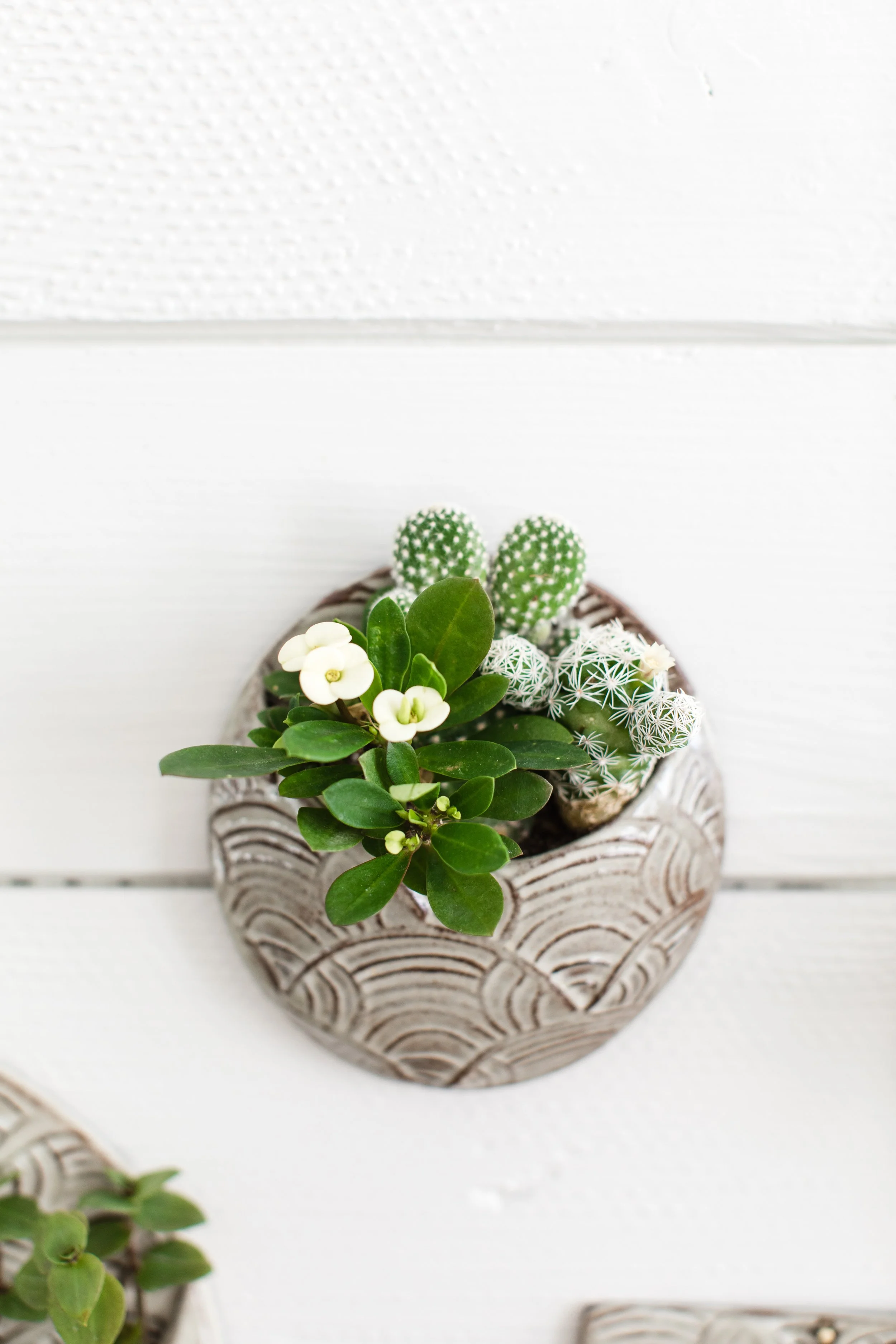 AmandaMaryCreative_BronwenWetterClay_006.jpg (Copy)