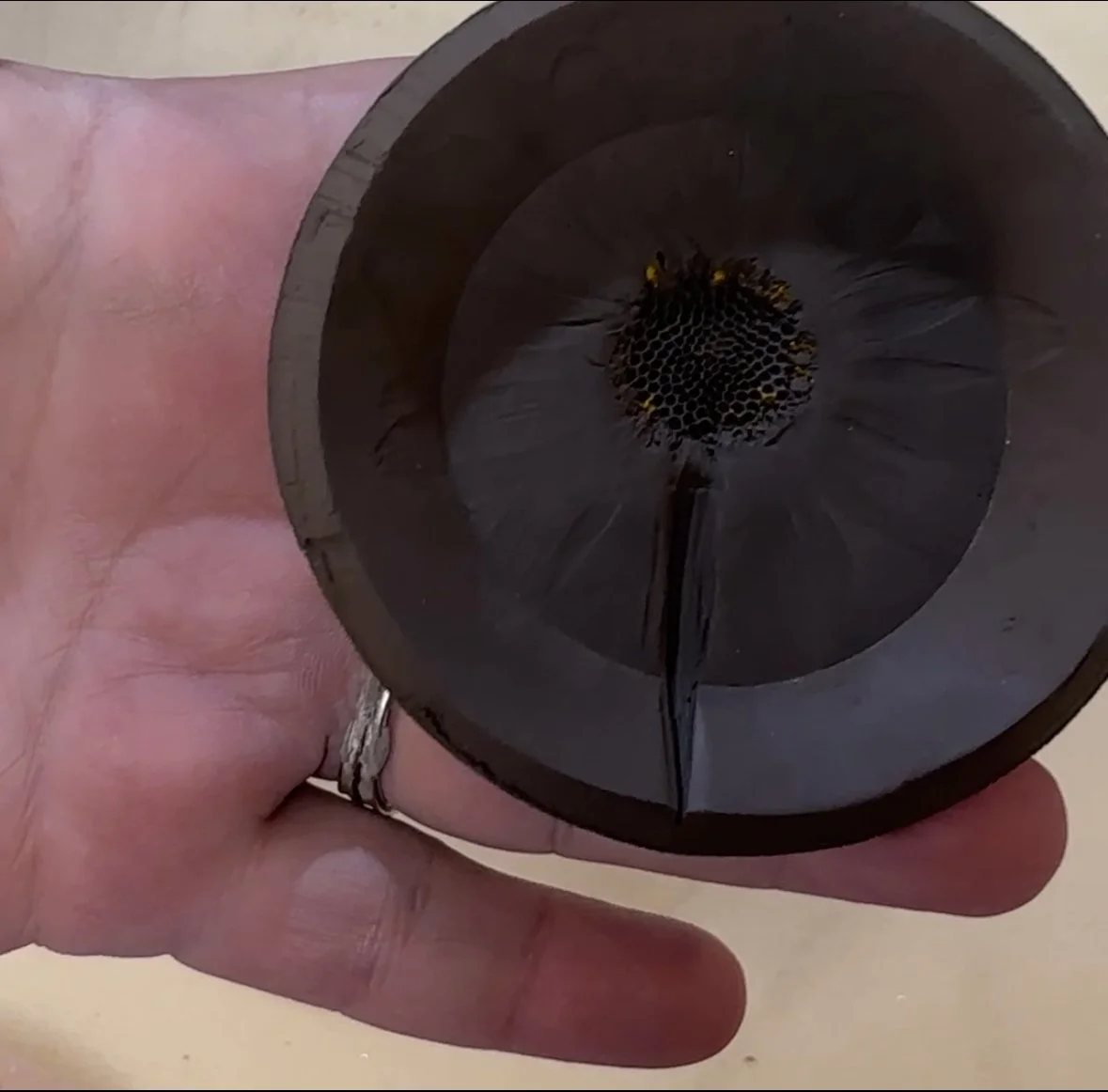 Make Three little Dishes with Flowers and foliage Aug 7th