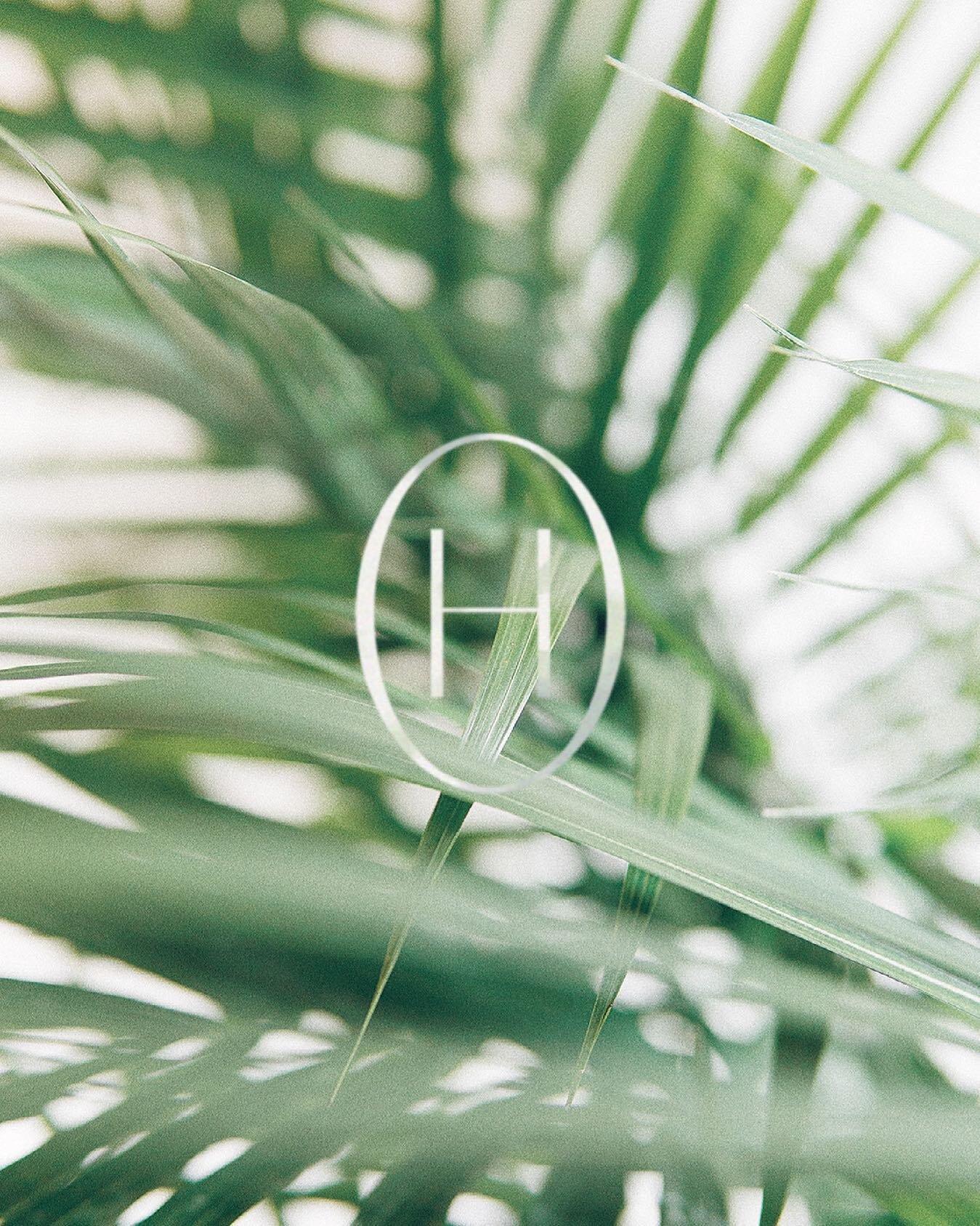 ▫️No matter what fragrance, HUSH evokes an upscale ambiance with our high end note profiles. Where Scent Meets Luxury ▫️
&bull;
&bull;
&bull;
&bull;
#candles #allnaturalsoy #scent #elegance #elevateyourscent #lagunabeach #laguna #lagunaniguel #homede