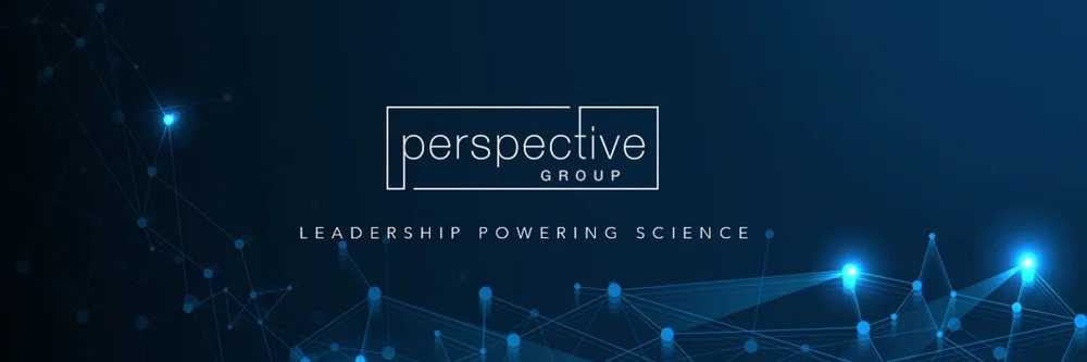 End Perspective Razorblade 2023 Year End — Perspective Group