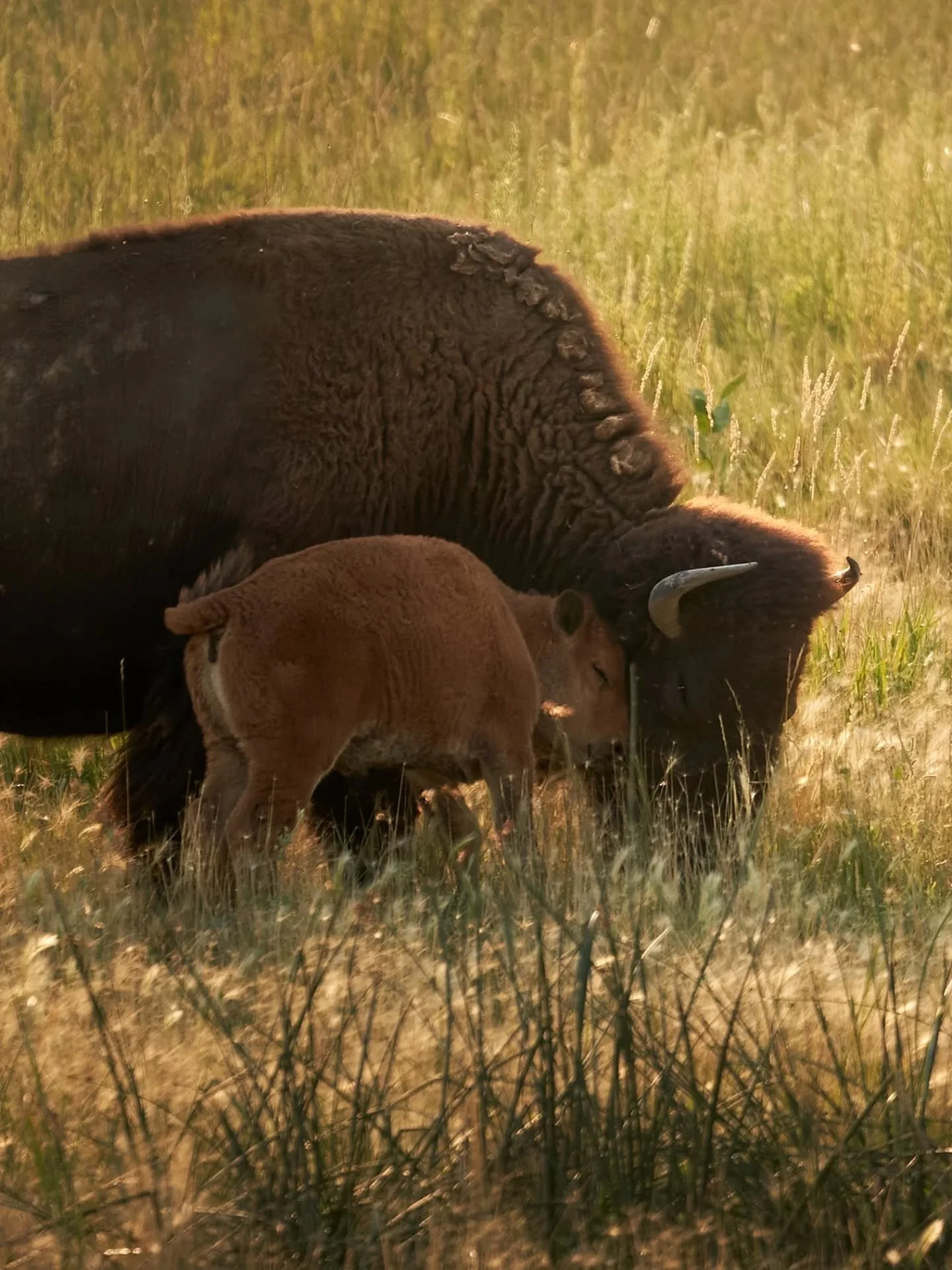 Happy Monday, friends! You don't realize how much something takes a toll on you, until it does. Losing my jeep to an accident, then deal with insurance for two months, flying out for vacation in the middle of this, and two work flights in the middle 