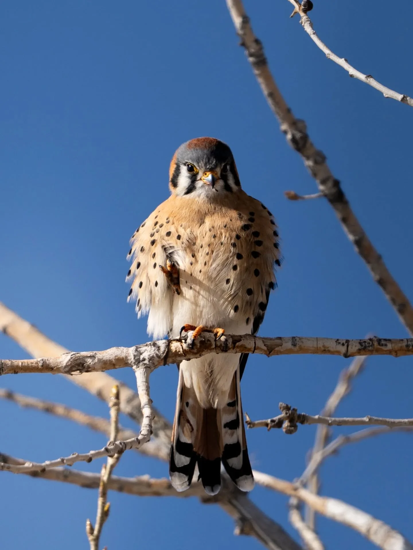 Happy Friday, friends. Raise your hand if you plan on having a good weekend.