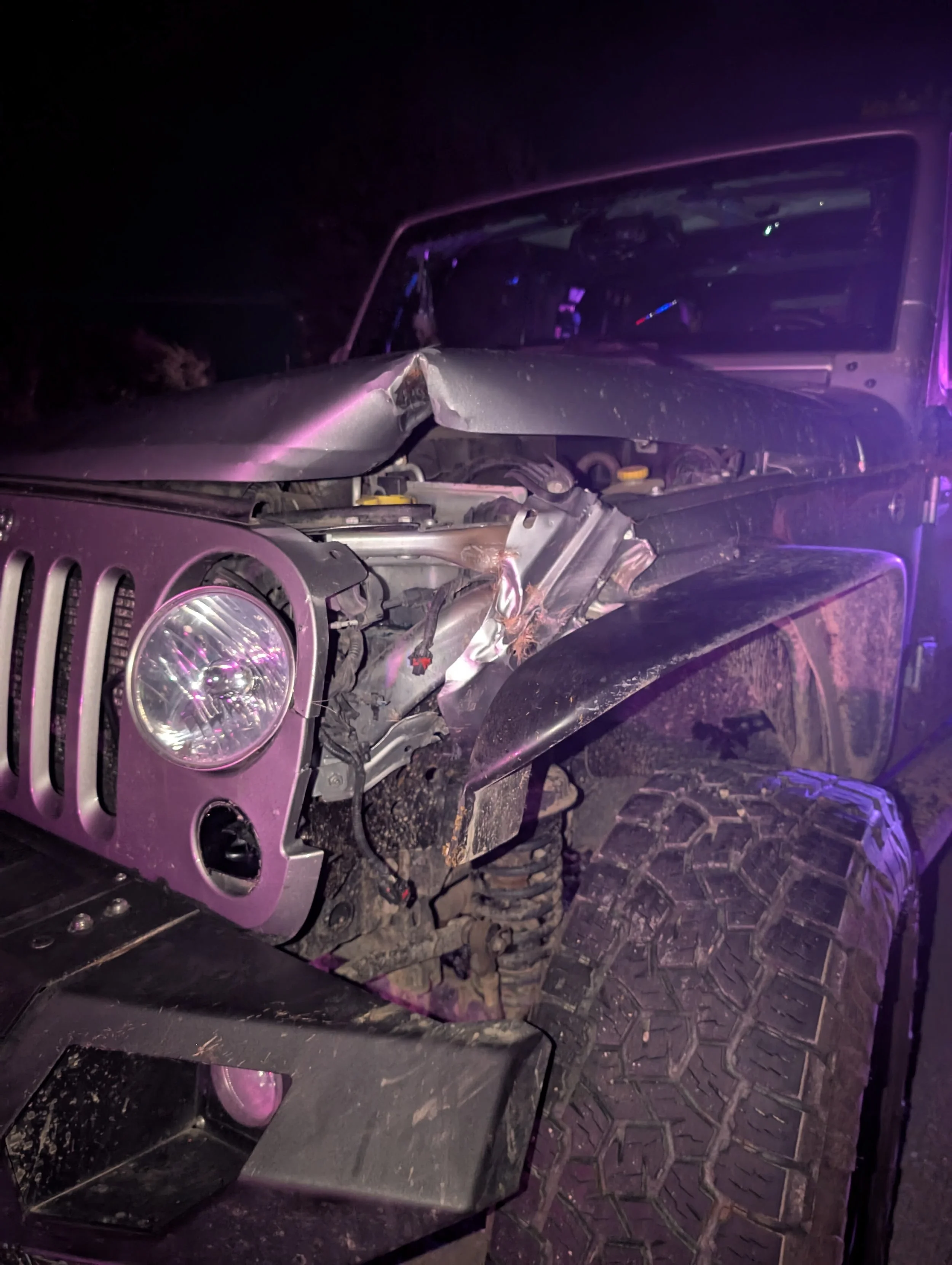 The Night I Hit an Elk: A PSA on Driving Through Wildlife Territory