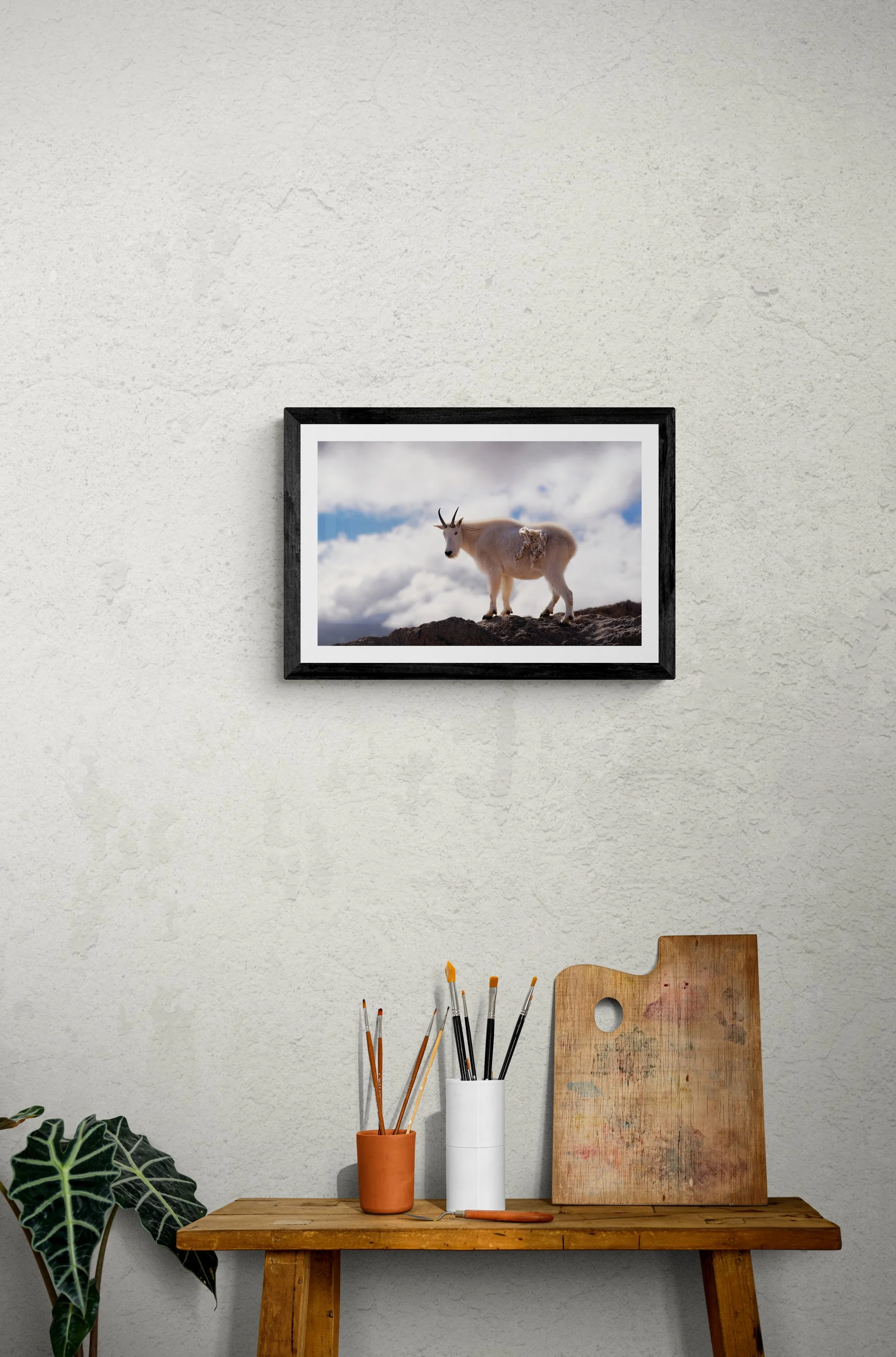 MtGoatFramed.jpg