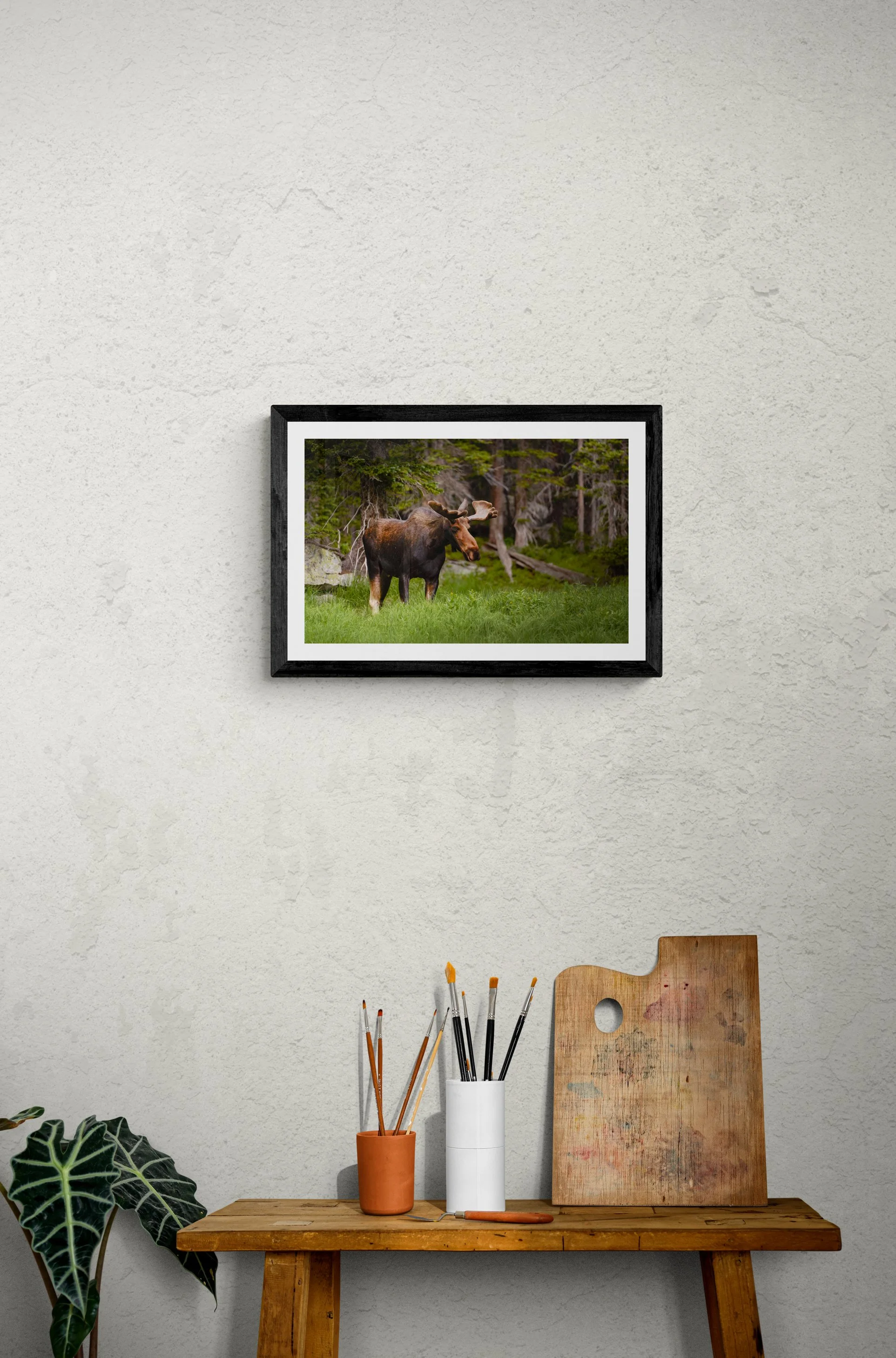 MooseFramed.jpg