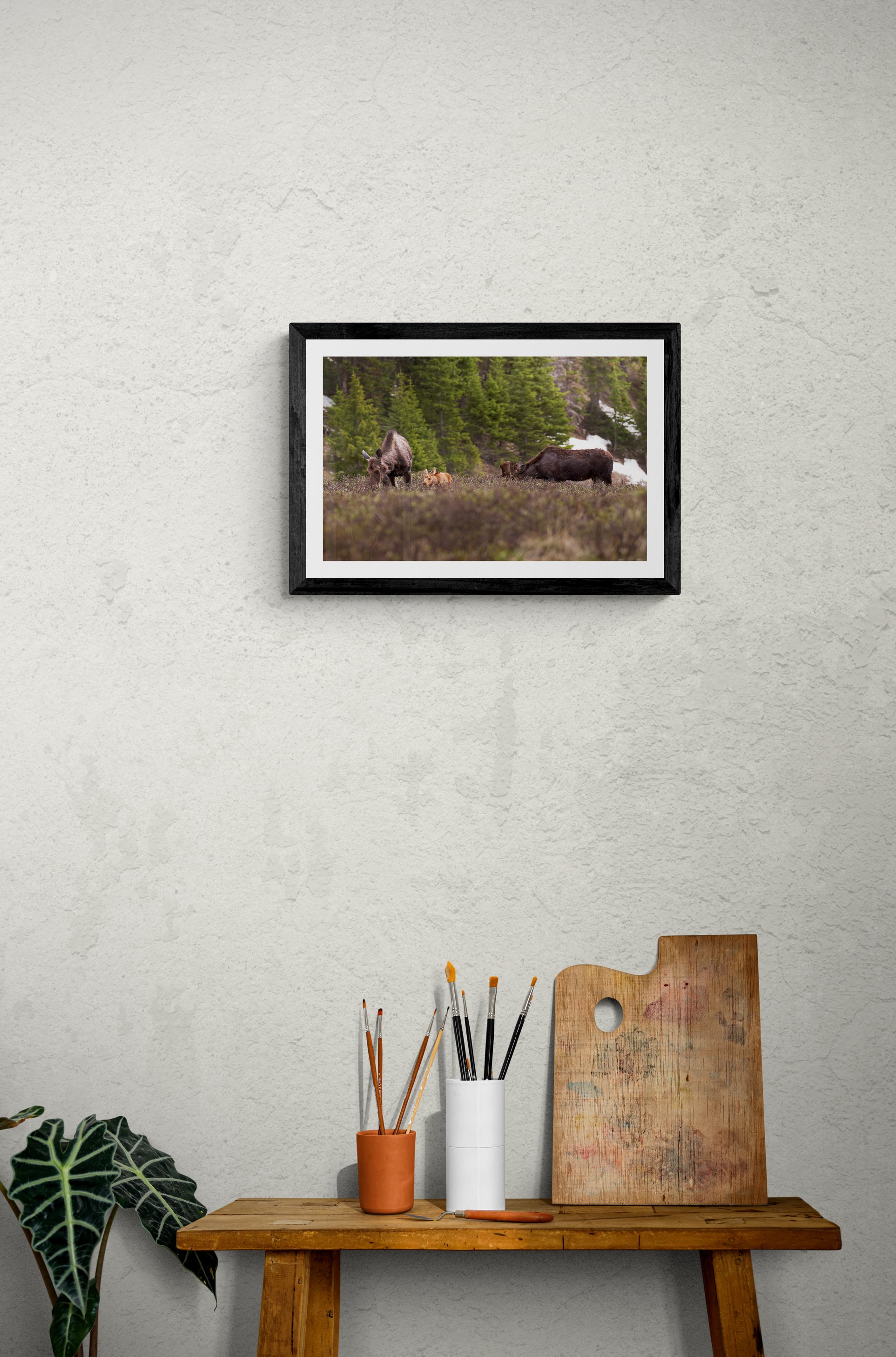 MooseFamilyFramed.jpg