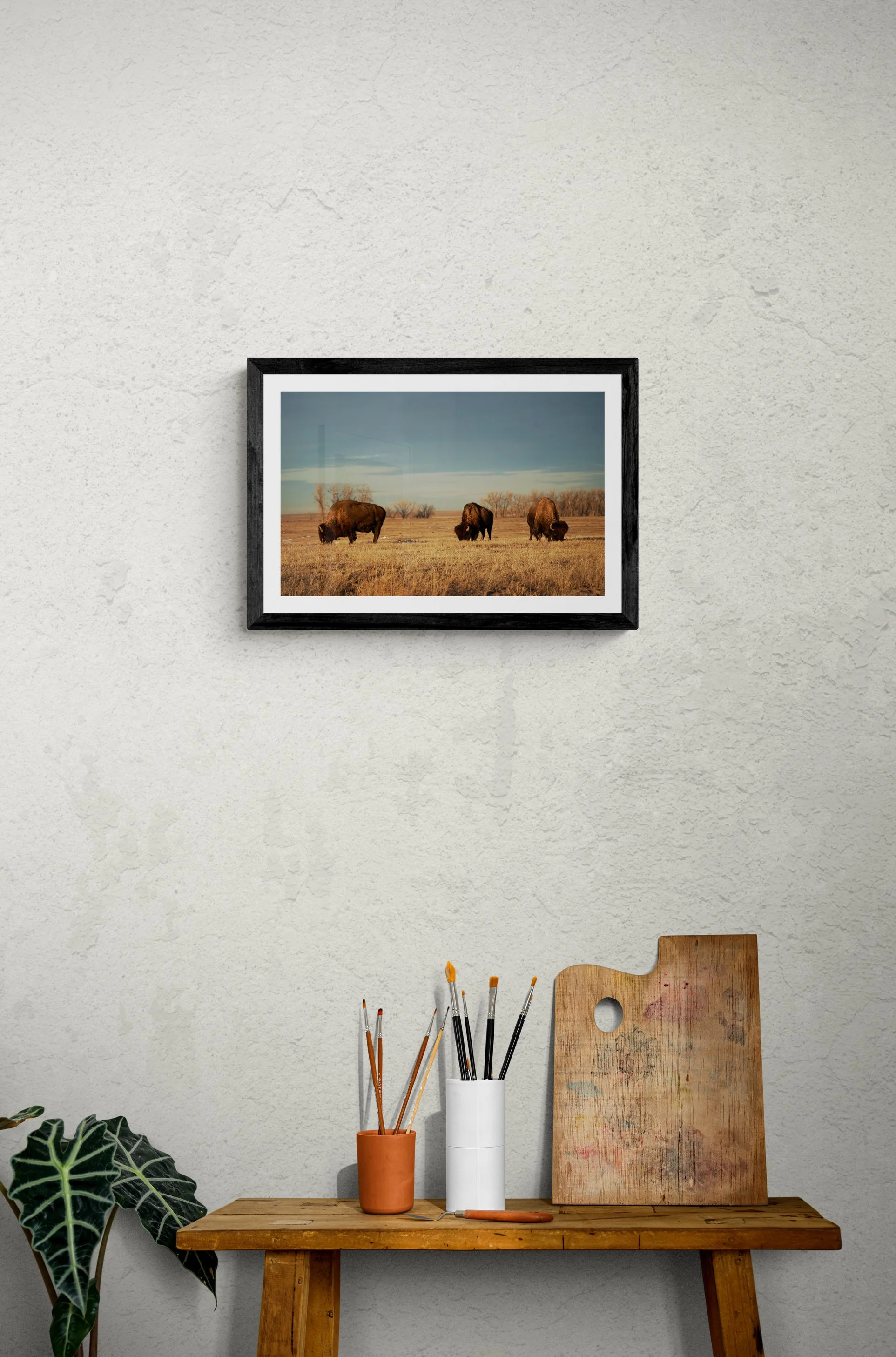 3BisonFramed.jpg