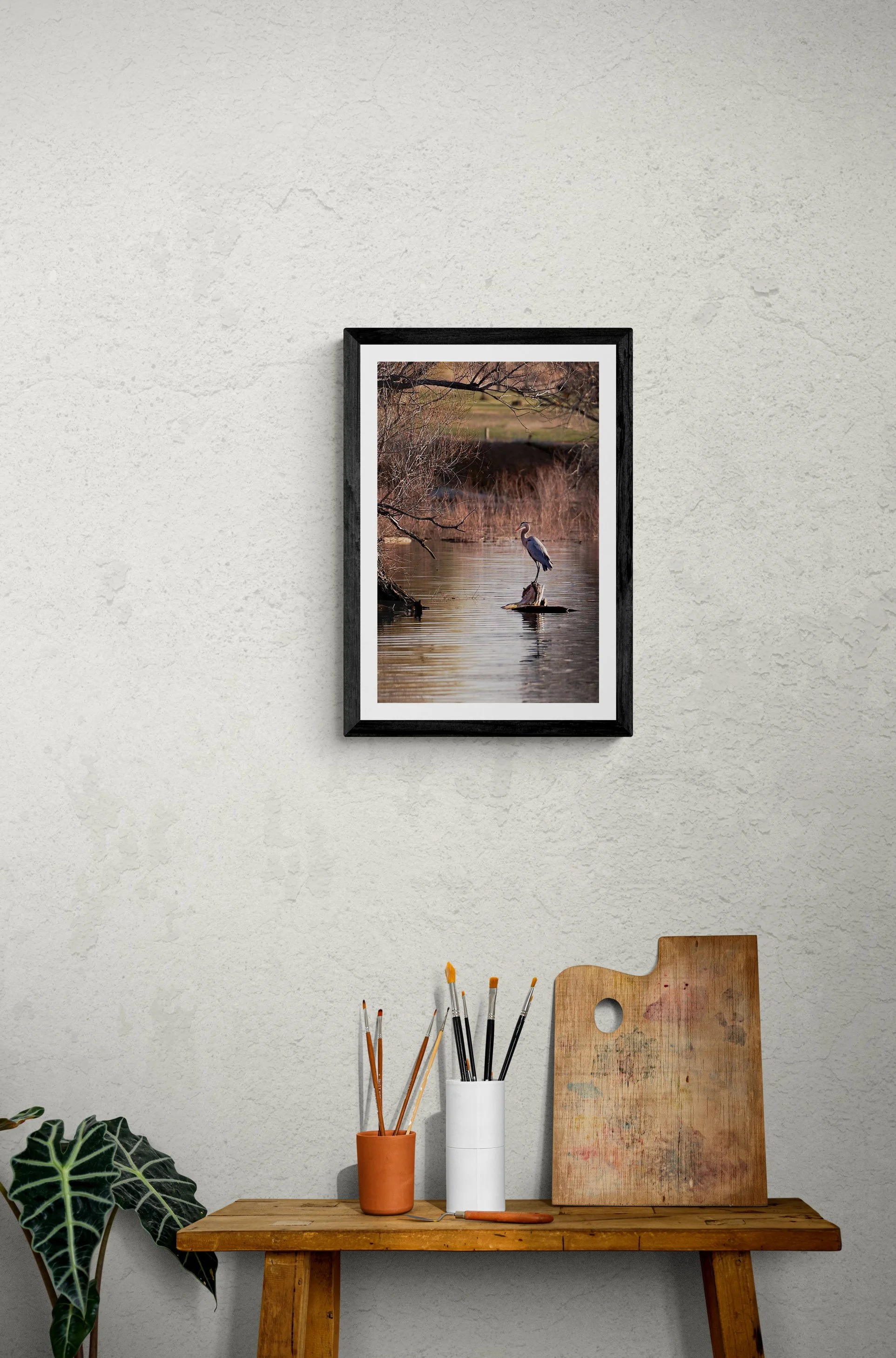 GreatBlueHeronFramed.jpg