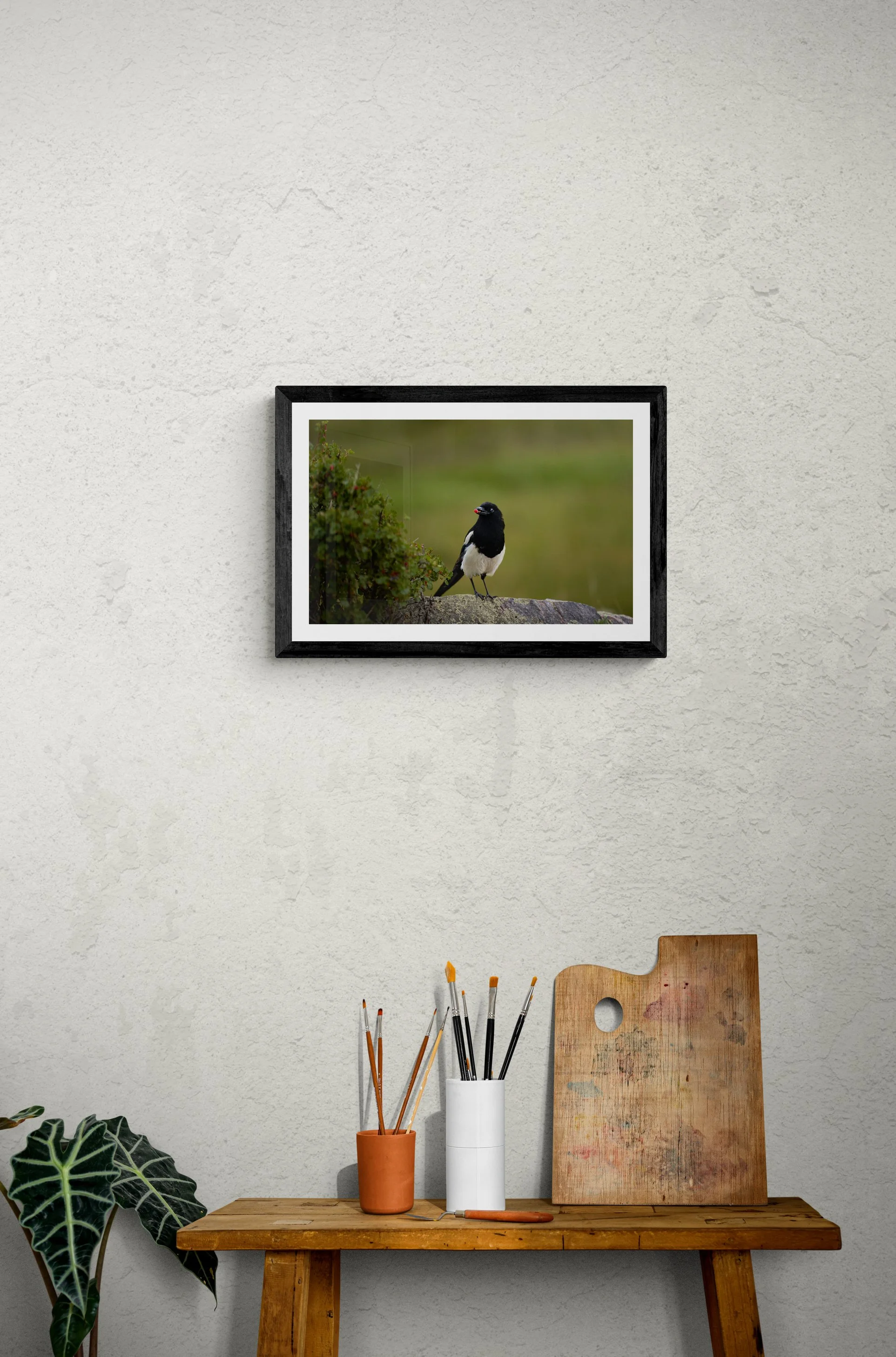 MagpieFramed.jpg